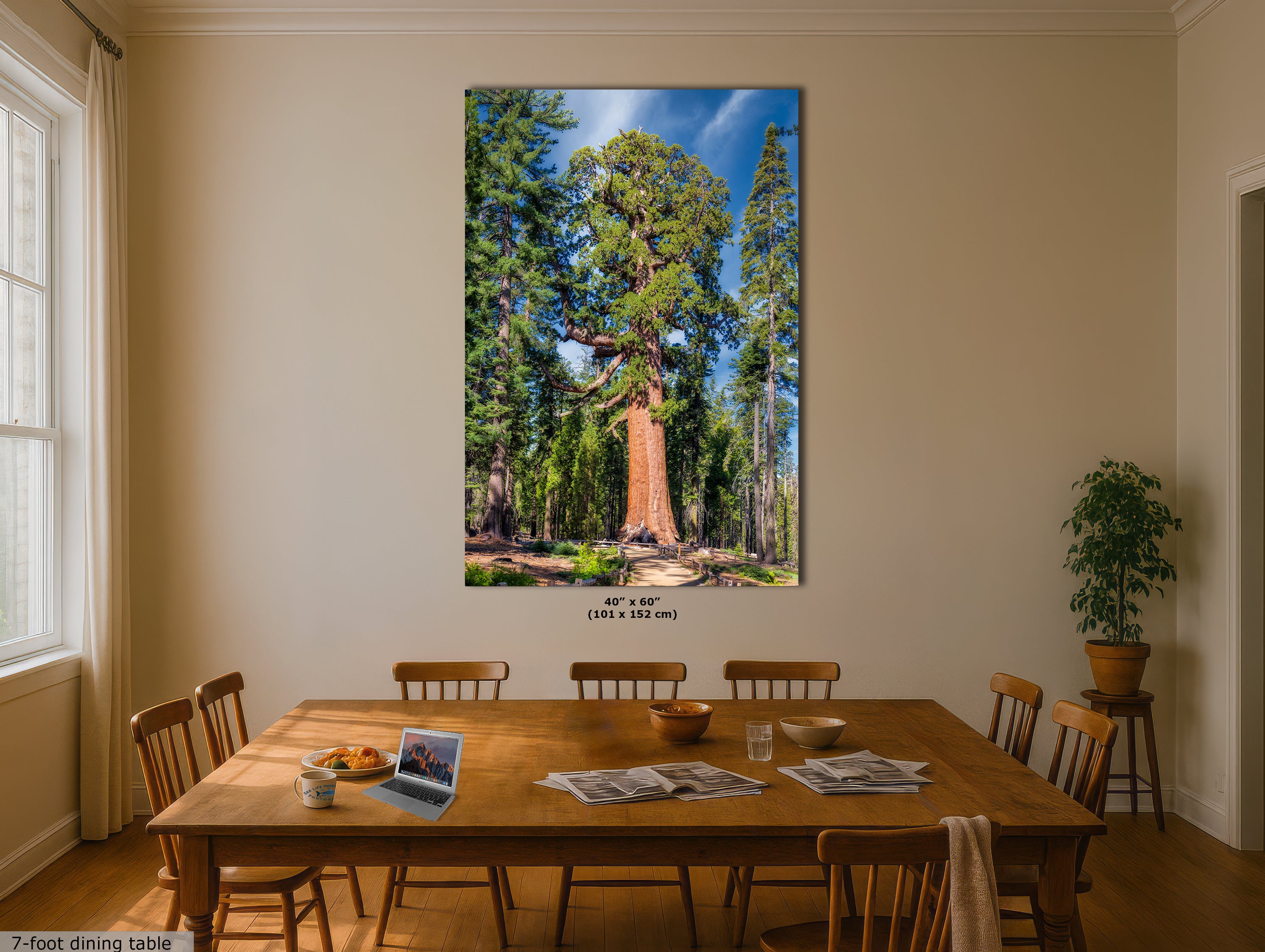 Giant Sequoia Tree Forest Picture Nature Photo, Yosemite Redwood Trees, Forest Bathing for Nature Lovers, House and Office