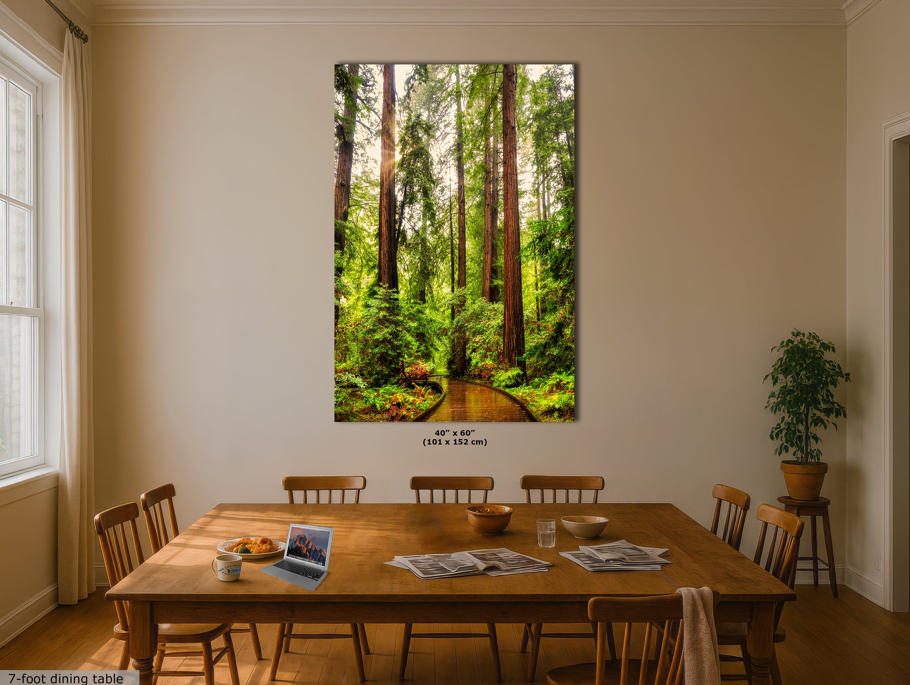 Redwood Trees Forest Picture Nature Photo, Forest Bathing House Decor