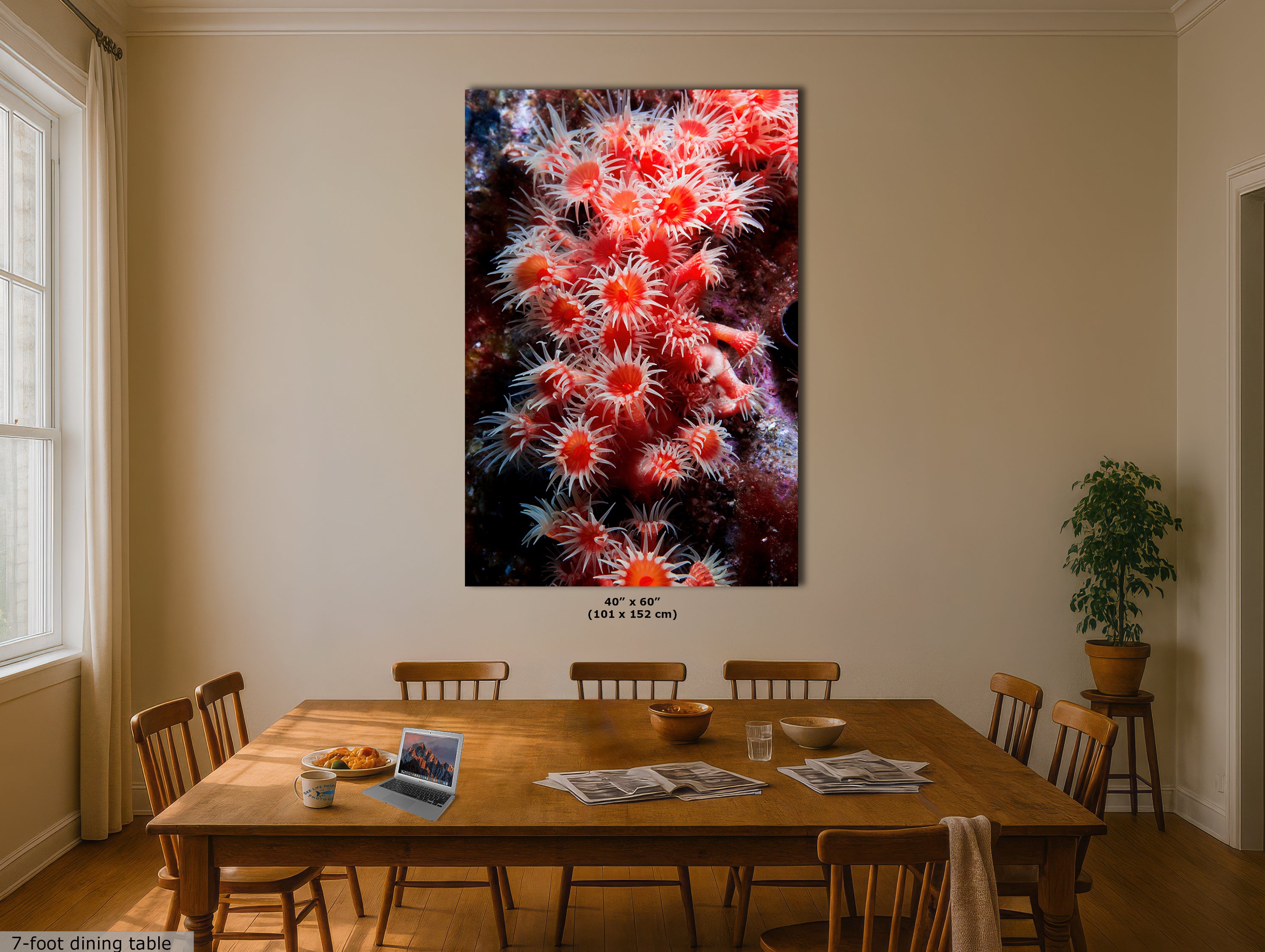 Sea Anemone Picture Ocean Life Underwater Scenery Nature Photo, Marine Biology Wall Art, Coral Reef Decor, Office & Dorm Room Decoration