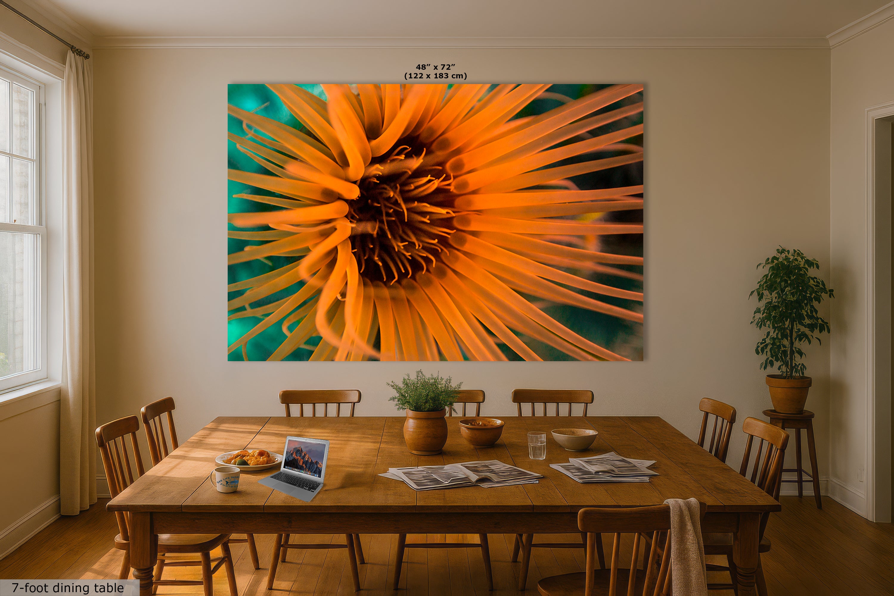 Sea Anemone Picture Ocean Life Underwater Scenery Nature Photo, Marine Biology Wall Art, Vibrant Coral Reef, Gift for Ocean Lover