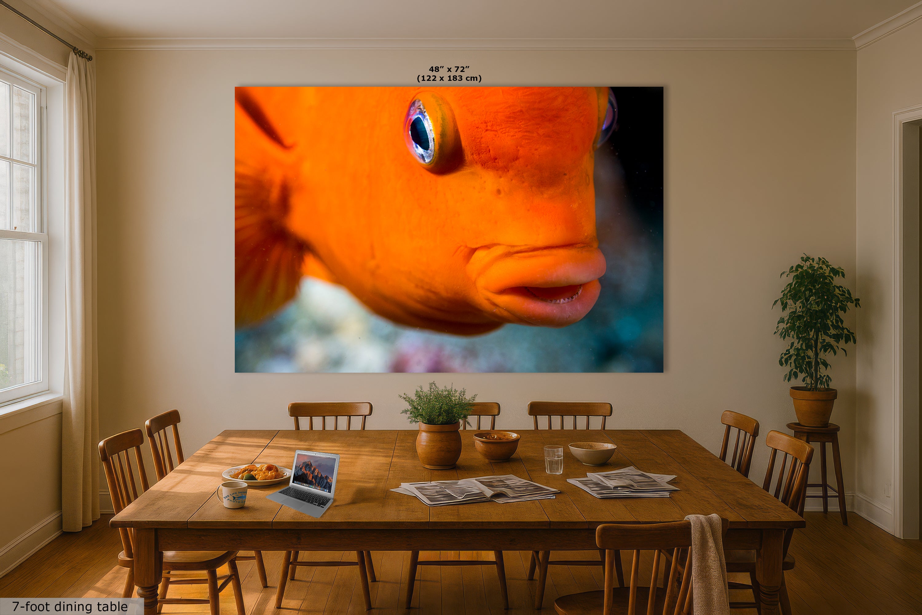 Garibaldi Fish Marine Biology Ocean Life, Underwater Scenery Nature Photo, California Marine Inhabitant, Nature Decor, Relaxation Artwork