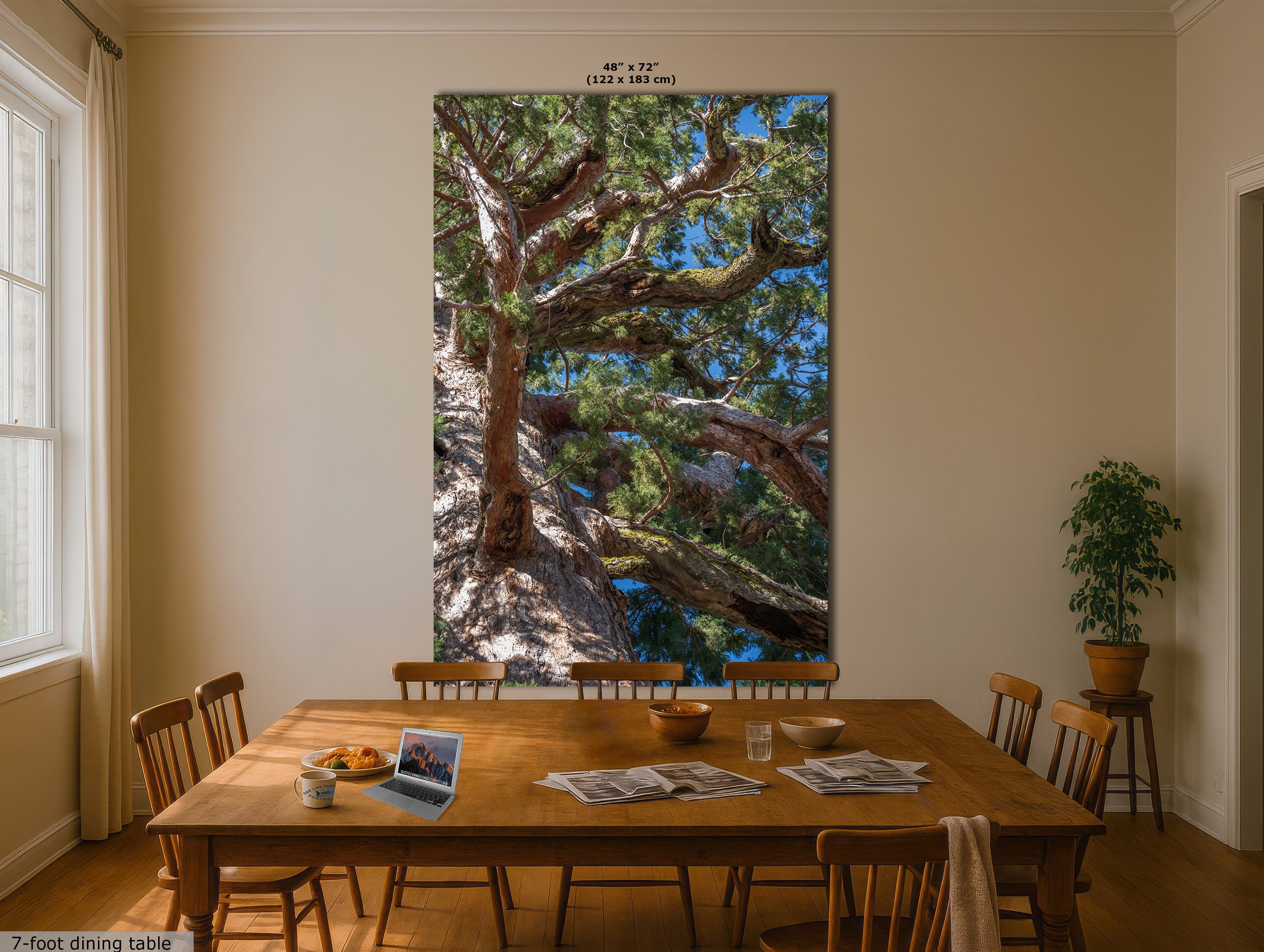 Giant Sequoia Tree Forest Picture Nature Photo, Yosemite Mariposa Grove Redwood Trees, Forest Bathing Relaxation Artwork for Nature Lovers