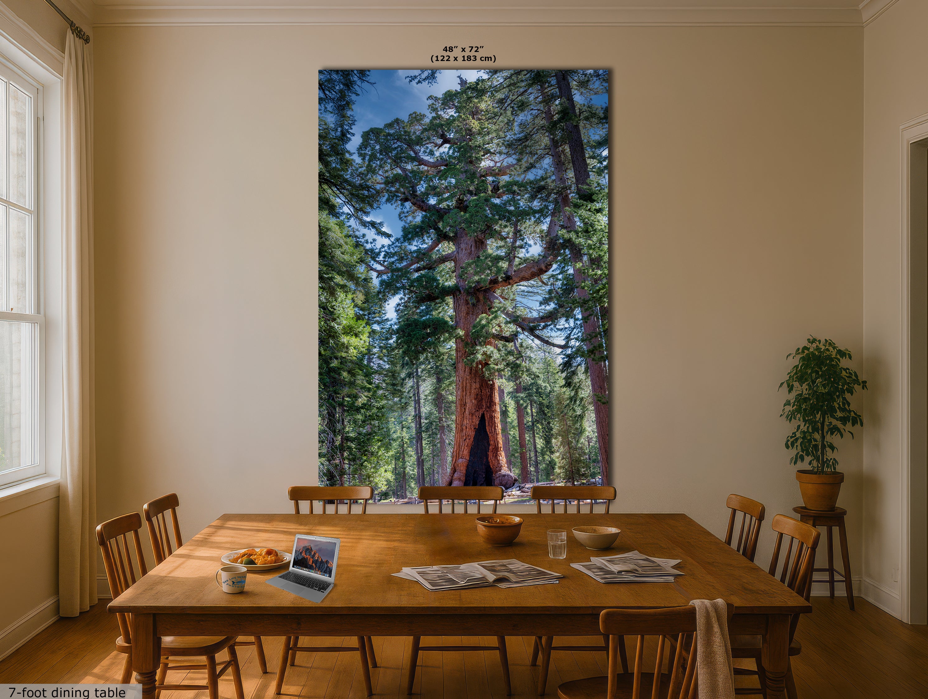 Giant Sequoia Tree Forest Picture Nature Photo, Yosemite Redwood Trees, Mariposa Grove Tree Hugger Decor, Forest Bathing for Relaxation