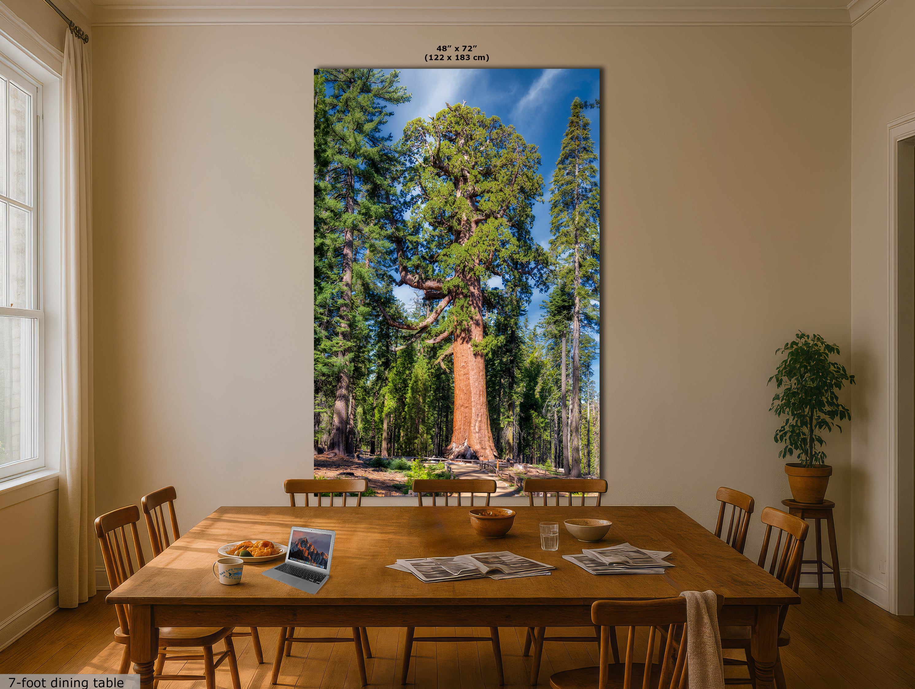 Giant Sequoia Tree Forest Picture Nature Photo, Yosemite Redwood Trees, Forest Bathing for Nature Lovers, House and Office