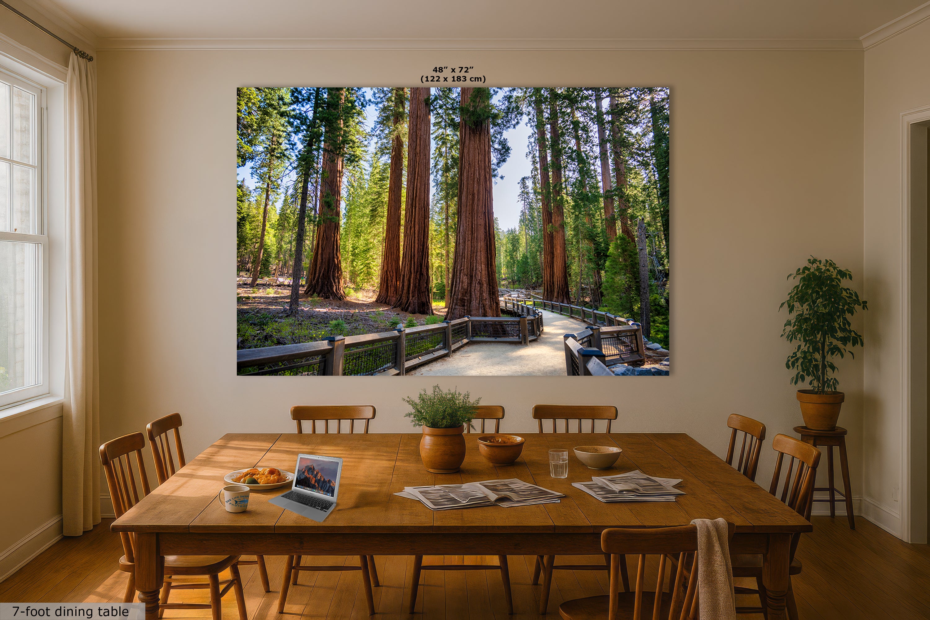 Giant Sequoia Tree Forest Picture Nature Photo | Yosemite Redwood Trees for Nature Lovers & Forest Bathing Relaxation, Meditation Artwork