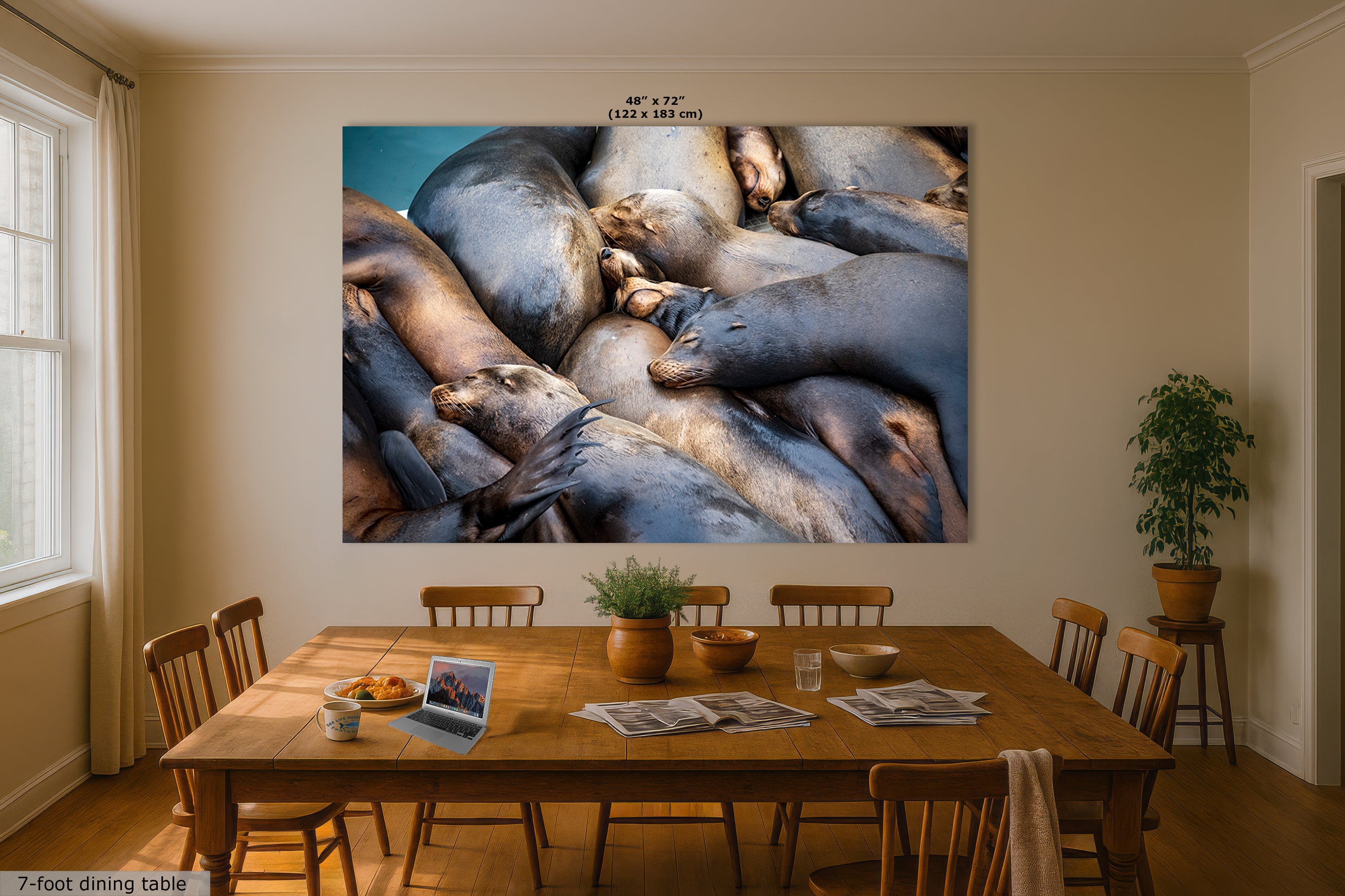 California Sea Lion Marine Mammal Wildlife Photography Wall Art - Ocean Animals Nursery Decor Coastal Home Artwork, Marine Biology Print
