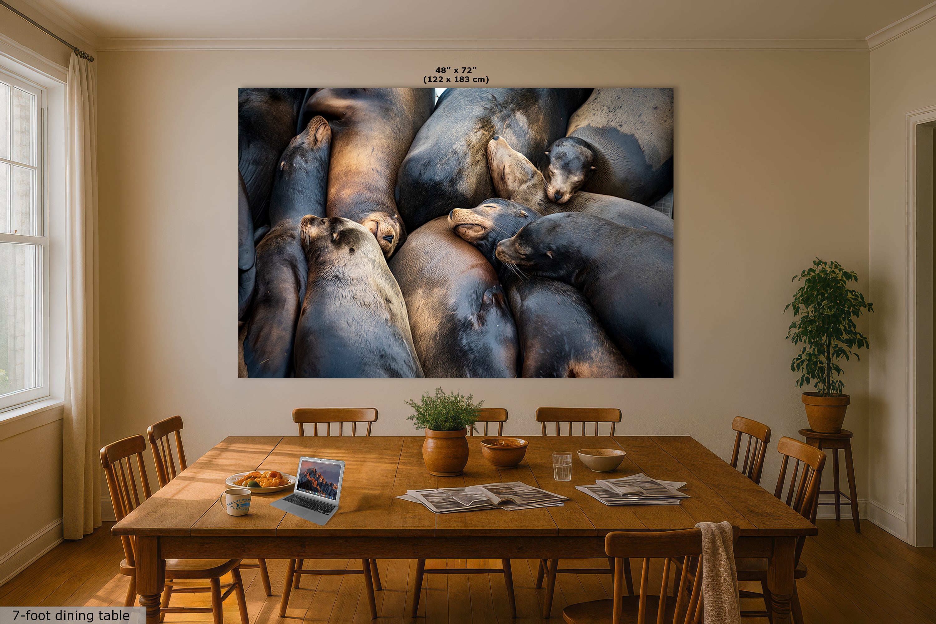 California Sea Lion Marine Mammal Wildlife Photography, Ocean Animals Nursery Decor, Relaxation Artwork for Beach-Themed Rooms