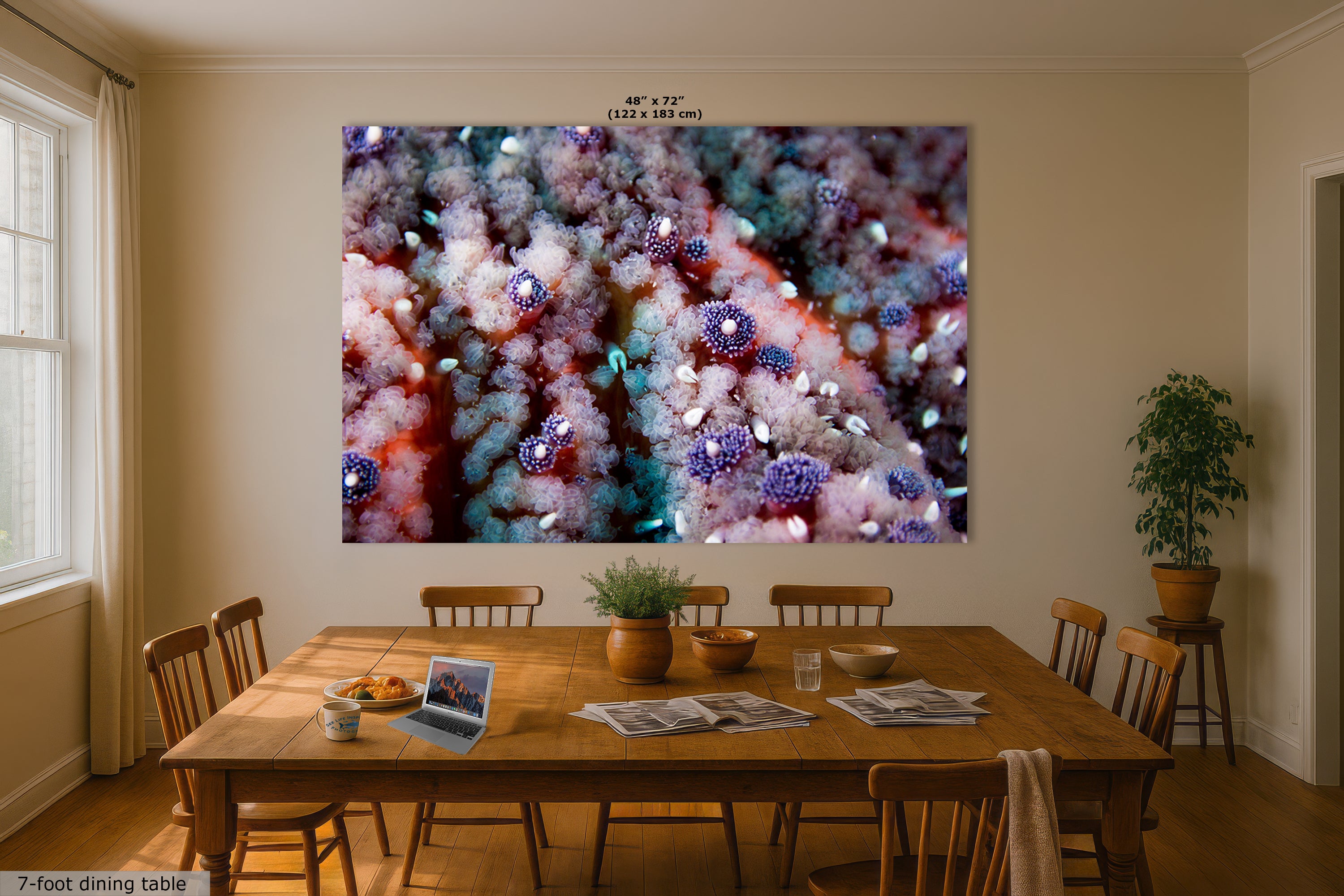 Ocean Life Starfish Photo, Marine Biology Underwater Scenery, Vibrant Coral Reef, Nature Photography for Office Decor, Relaxation Artwork