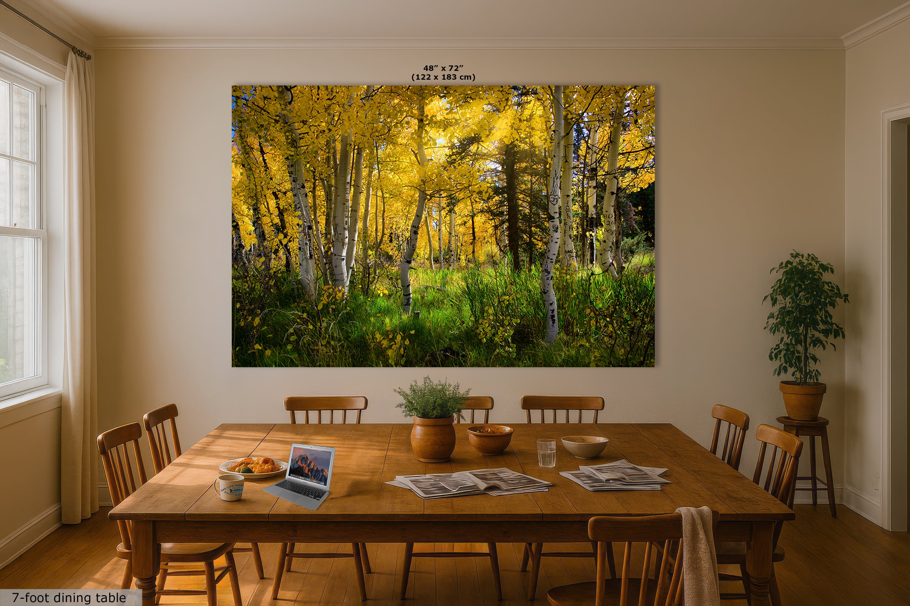 Aspen Tree Forest Picture Nature Photo, Forest Bathing Relaxation Artwork, Fall Colors Autumn for Meditation, Office and House Decor