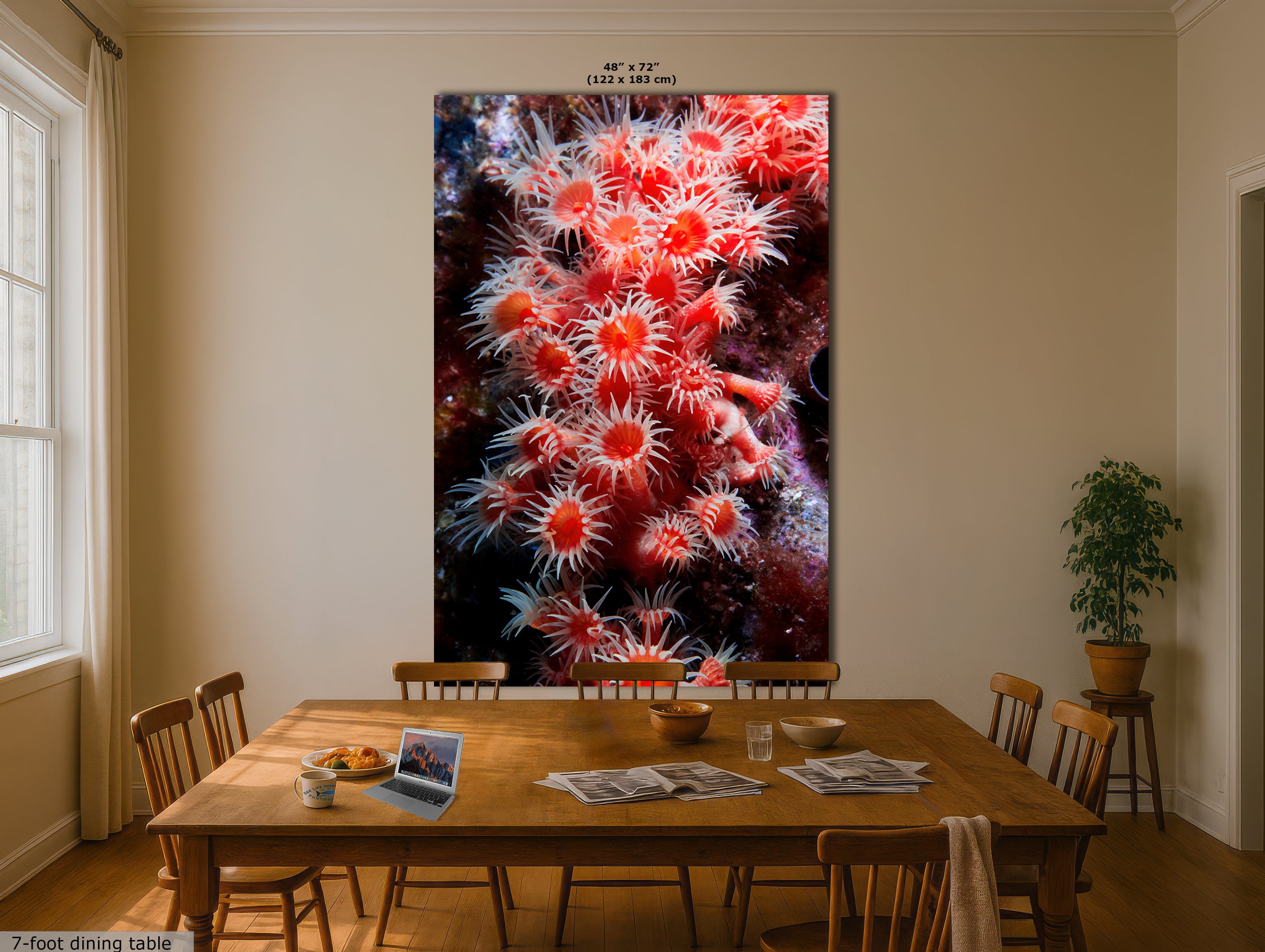 Sea Anemone Picture Ocean Life Underwater Scenery Nature Photo, Marine Biology Wall Art, Coral Reef Decor, Office & Dorm Room Decoration