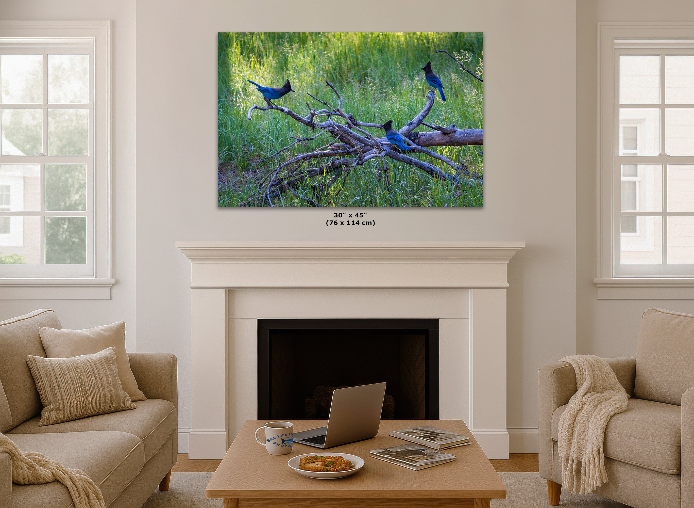 A wall art print showing blue birds perched on branches in a grassy green setting, displayed above a white fireplace mantel in a bright living room. Small text below the print reads 30" x 45" (76 x 114 cm).