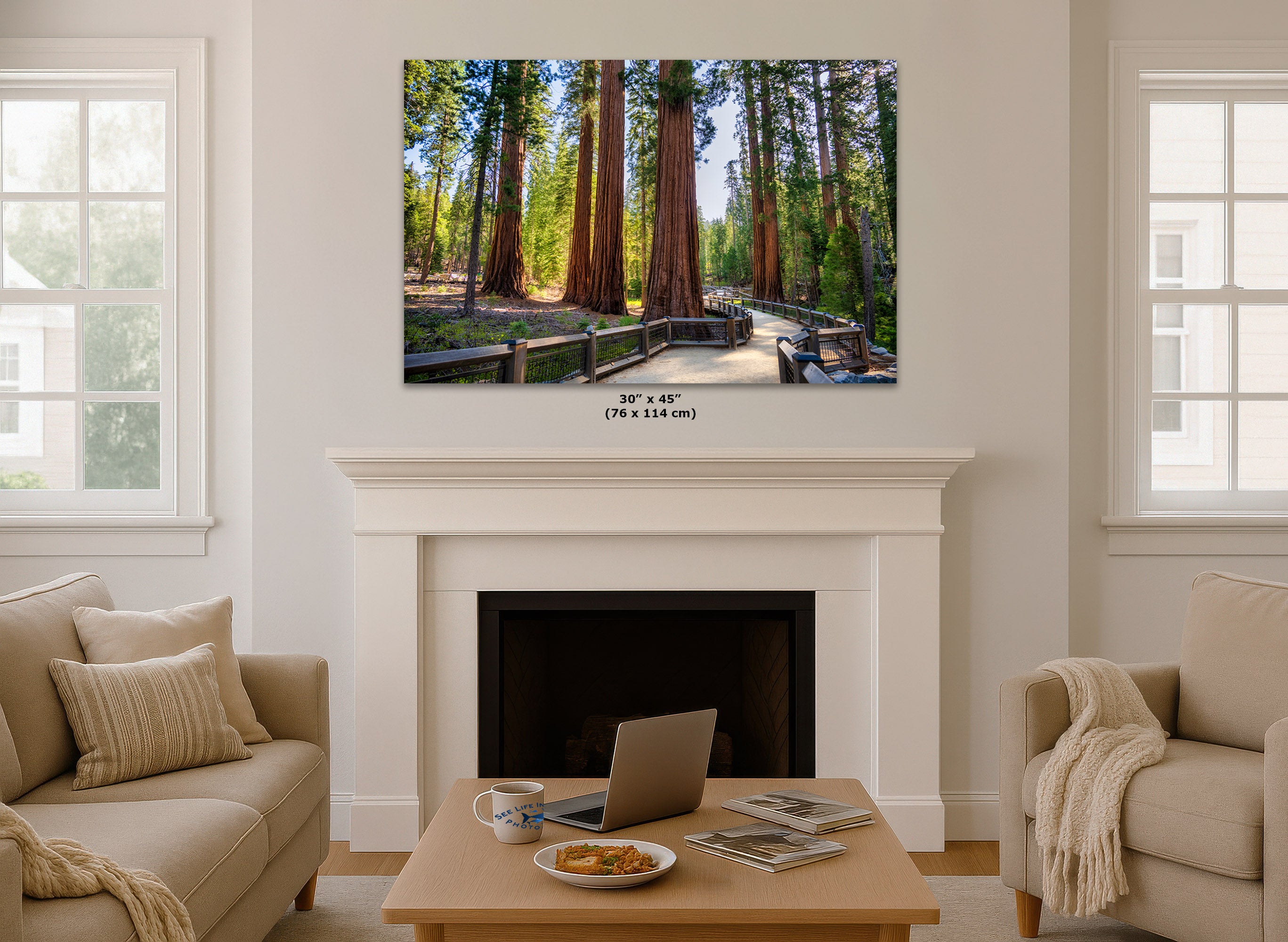A framed wall art print showing a forest path with tall redwood trees, displayed above a white fireplace mantel in a bright living room. Small text below the print reads 30 x 45 in (76 x 114 cm).
