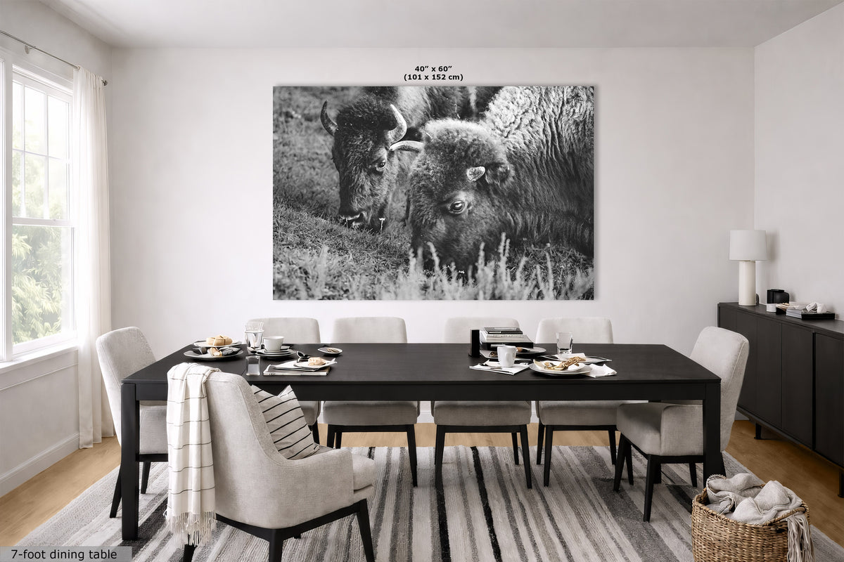 A large black and white wall art print depicting two bison in a grassy field, displayed in a modern dining room setting above a dark wood dining table and chairs. The print has dimensions labeled at the top as 40" x 60" (101 cm x 152 cm).