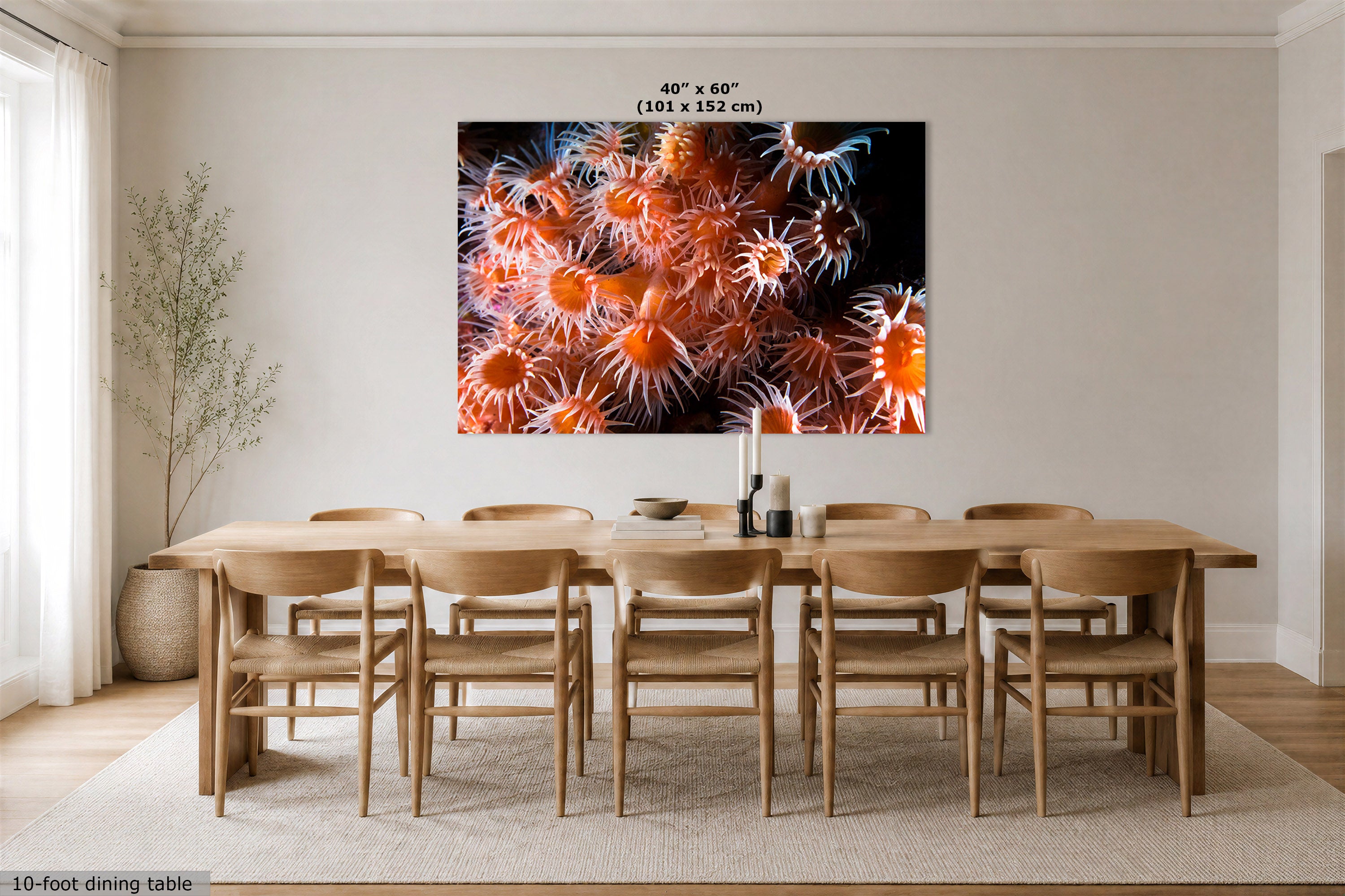 A large rectangular wall art print showing a close-up of orange and white sea anemones on a black background, displayed above a wooden dining table and chairs in a bright neutral dining room. Text at the top of the print reads 40" x 60" (101 x 152 cm), and a small caption at the bottom left says 10-foot dining table.