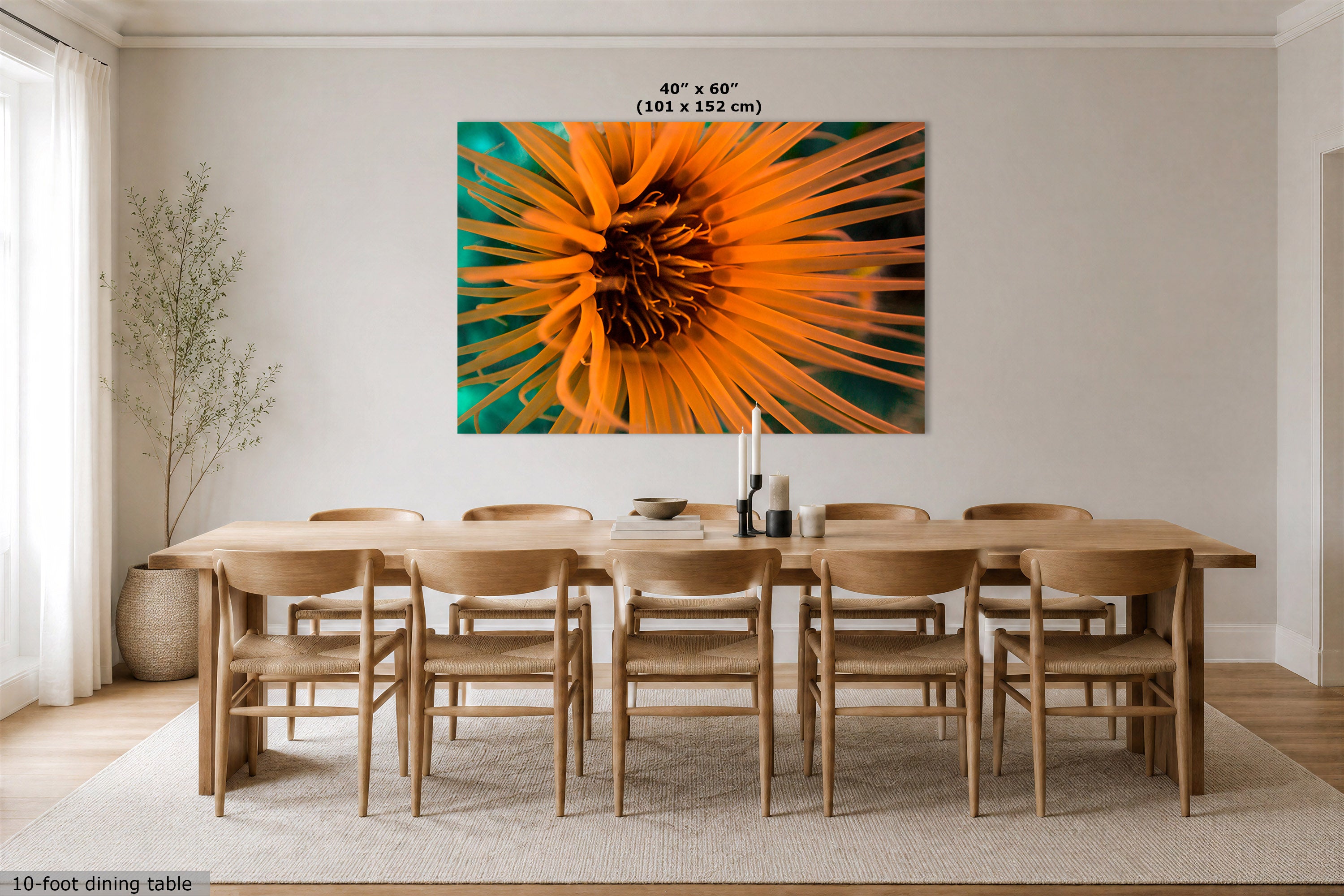 A large wall art print showing a close-up of an underwater anemone on a teal background, displayed above a wooden dining table and chairs in a bright, neutral dining room. Text at the top reads 40 x 60" (101 x 152 cm).