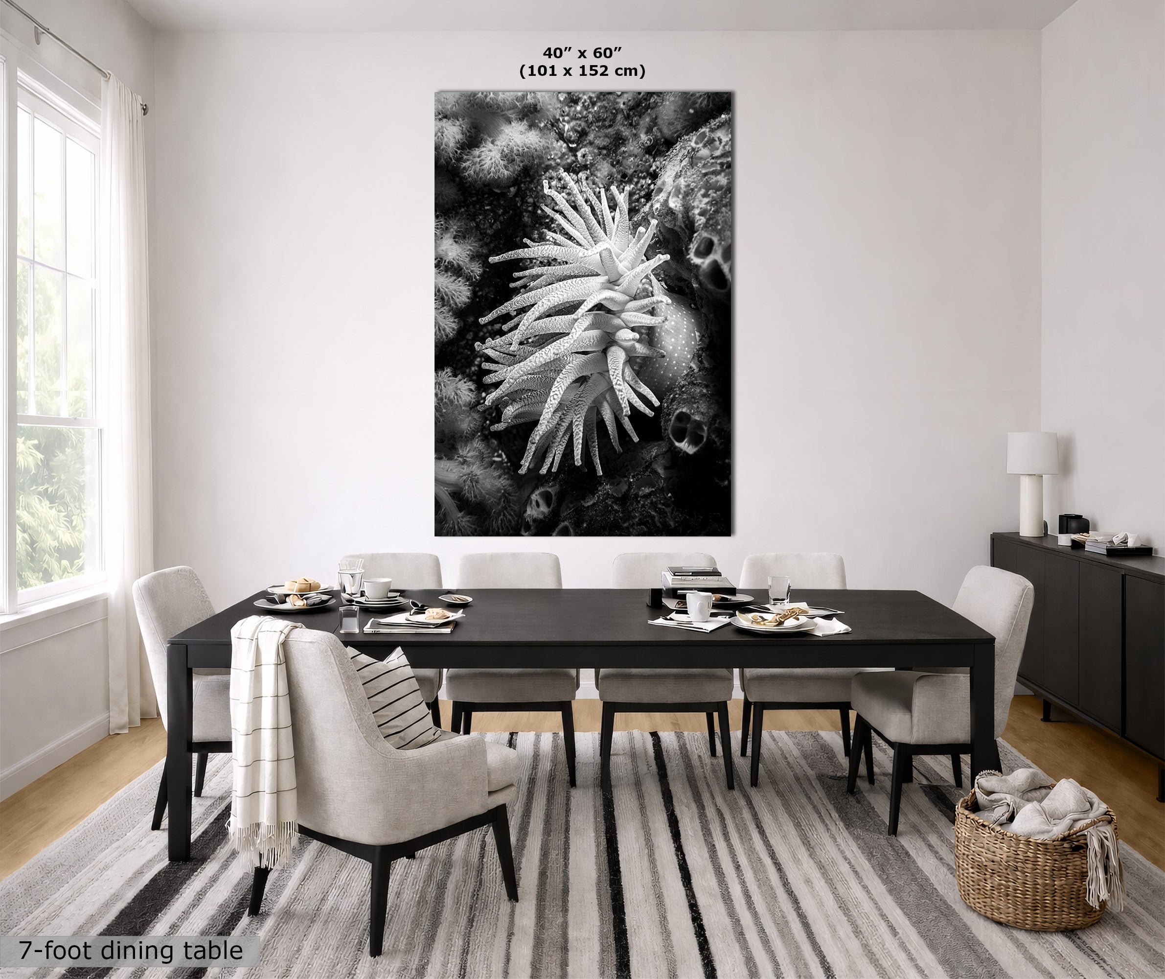 A large black and white wall art print depicting an anemone, shown hanging in a modern dining room above a dark wood dining table. The image includes size text at the top of the print and a length text label at the bottom left.