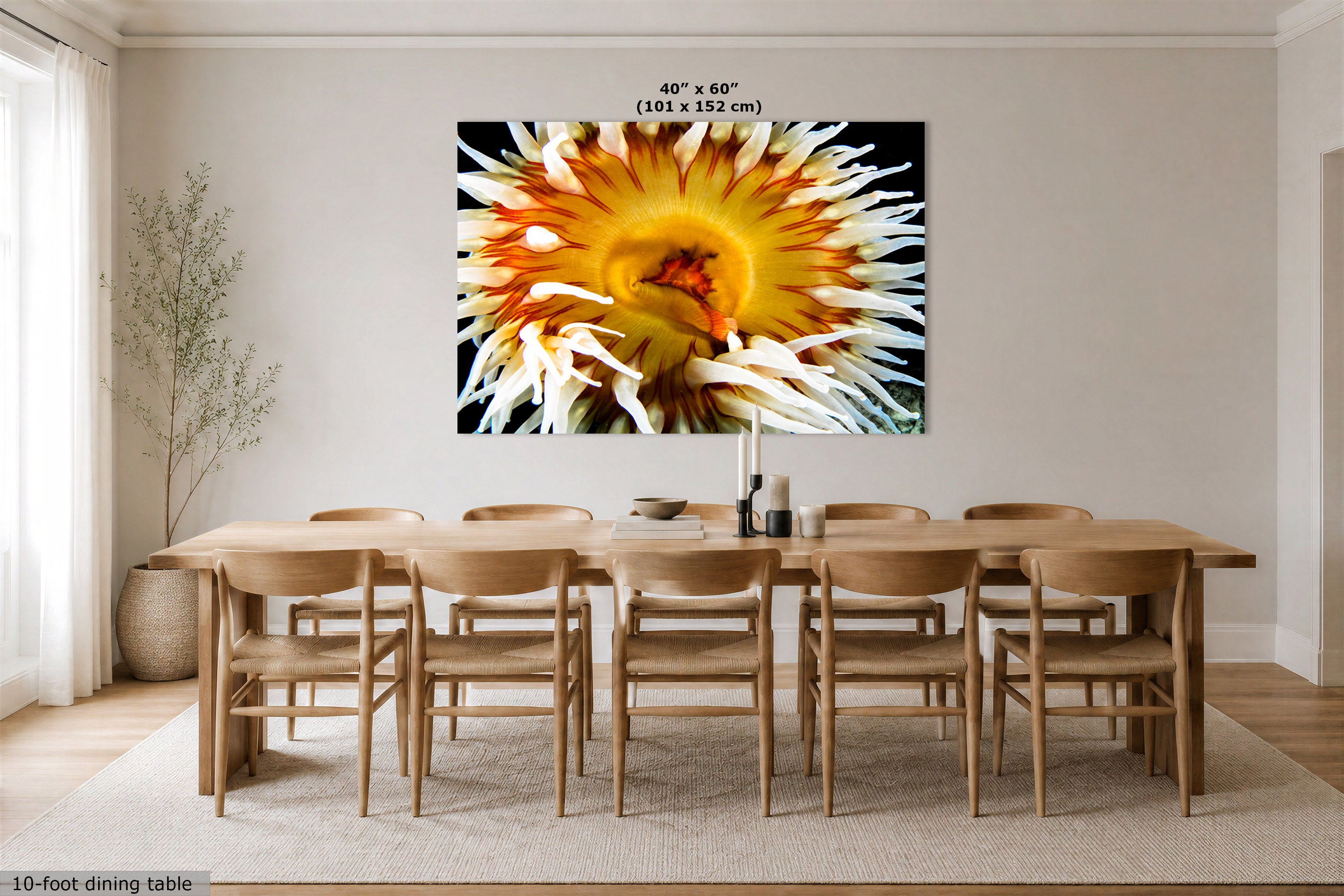 A large wall art print showing a close-up of a yellow and orange underwater anemone, displayed above a wooden dining table and chairs in a bright modern dining room. Text at the top reads '40" x 60" (101 x 152 cm)'.
