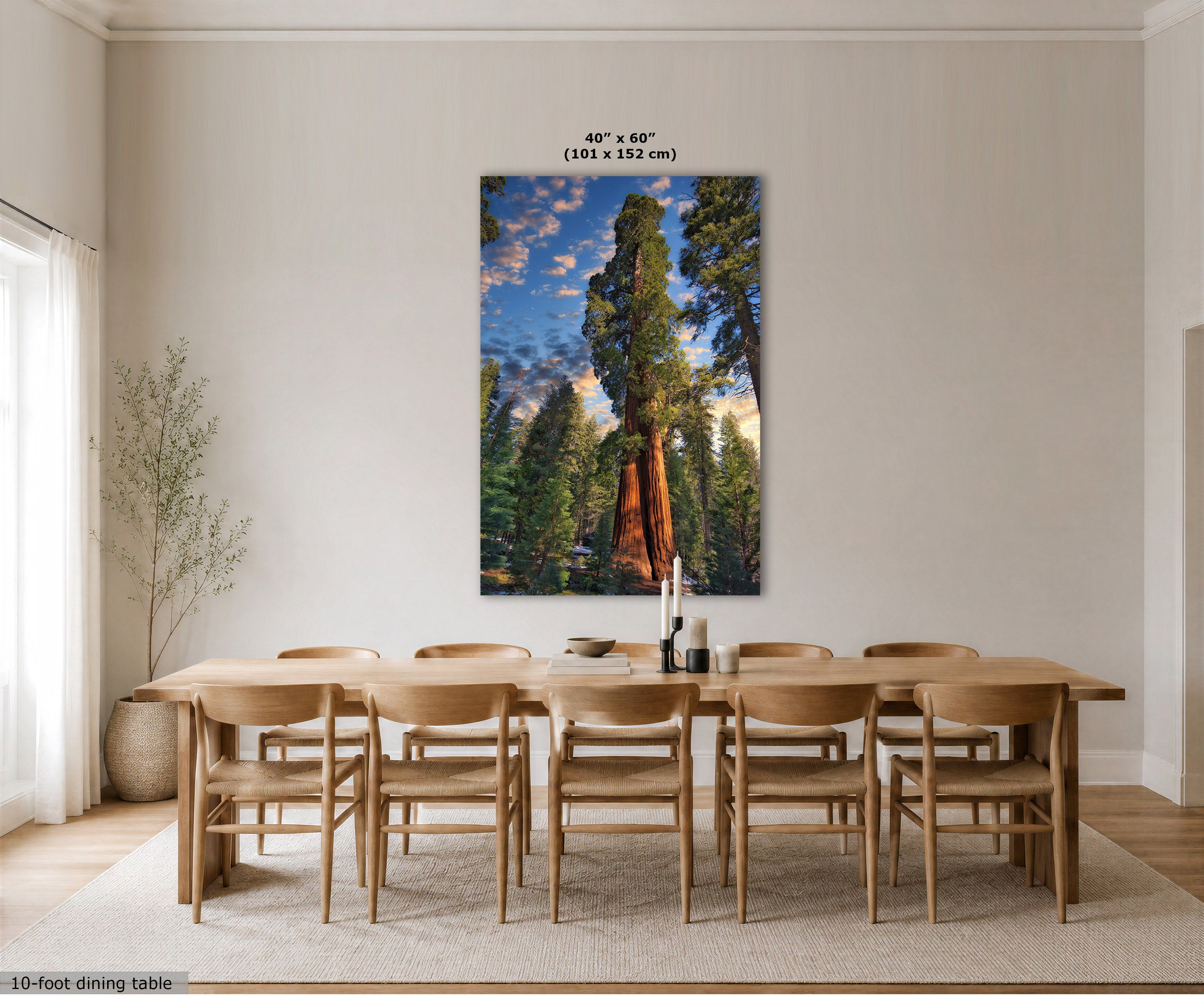 A large vertical wall art print depicting a giant redwood tree in a forest under a blue sky, displayed above a light wood dining table and chairs in a bright, modern dining room. The print has a small size label above it reading 40" x 60" (101 x 152 cm).