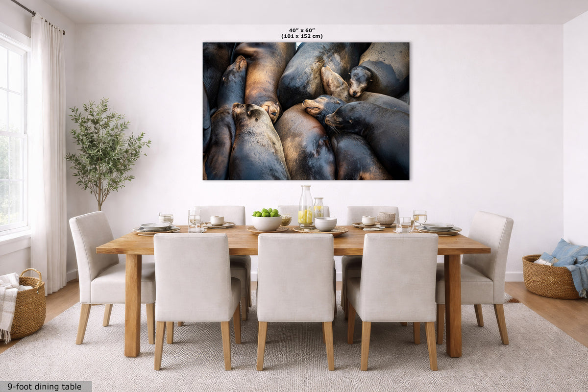 A large wall art print showing a close-up photograph of seals or sea lions, displayed above a wooden dining table with white upholstered chairs in a bright modern dining room. The print includes size text at the top and a small label at bottom left.
