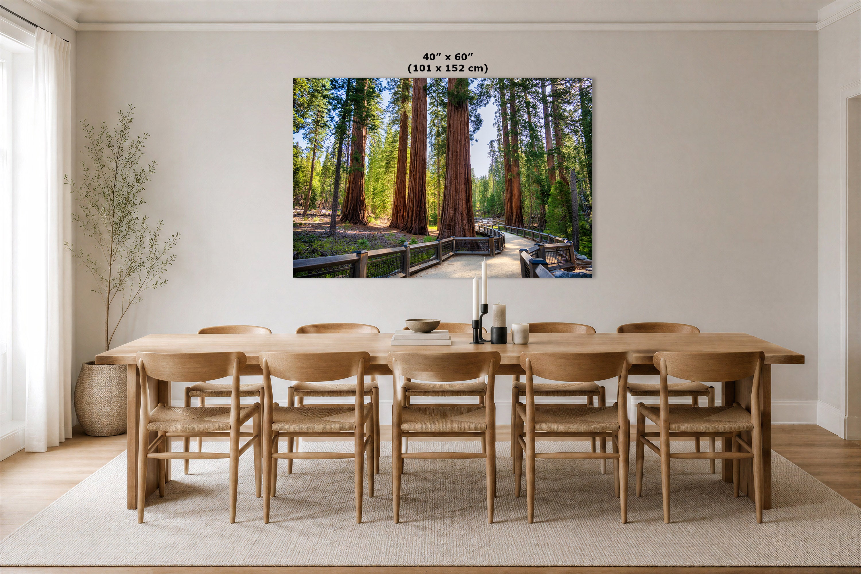 A large Giant Sequoia Grove wall art print depicting a forest path with tall redwood trees, displayed above a wooden dining table and chairs in a bright, modern dining room. The print includes size text at the top indicating 40" x 60" (101 x 152 cm).