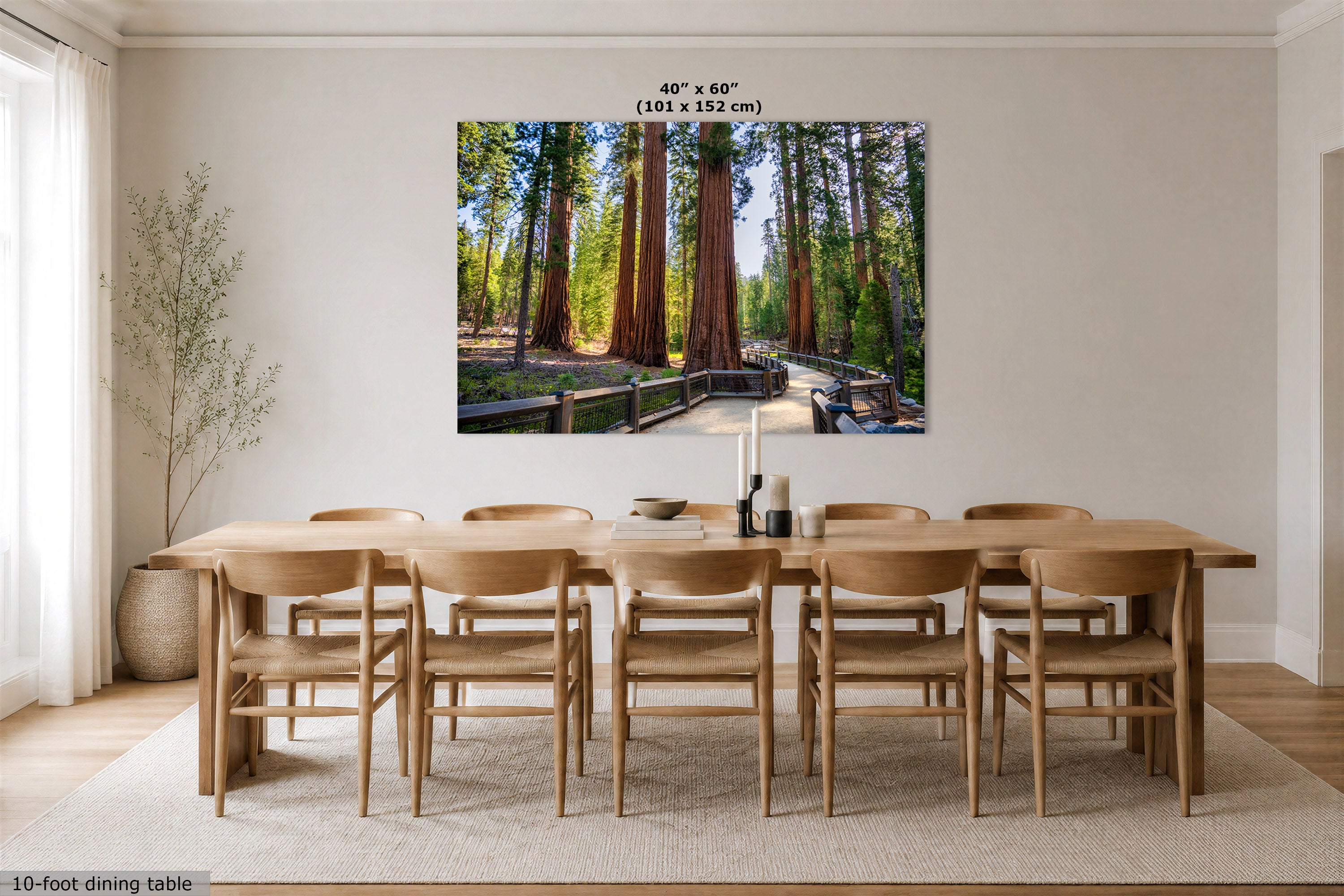 A large wall art print depicting a forest path with tall redwood trees, shown hanging above a wooden dining table and chairs in a bright dining room. Text at the top of the print reads 40" x 60" (101 x 152 cm), and text at the bottom left says 10-foot dining table.