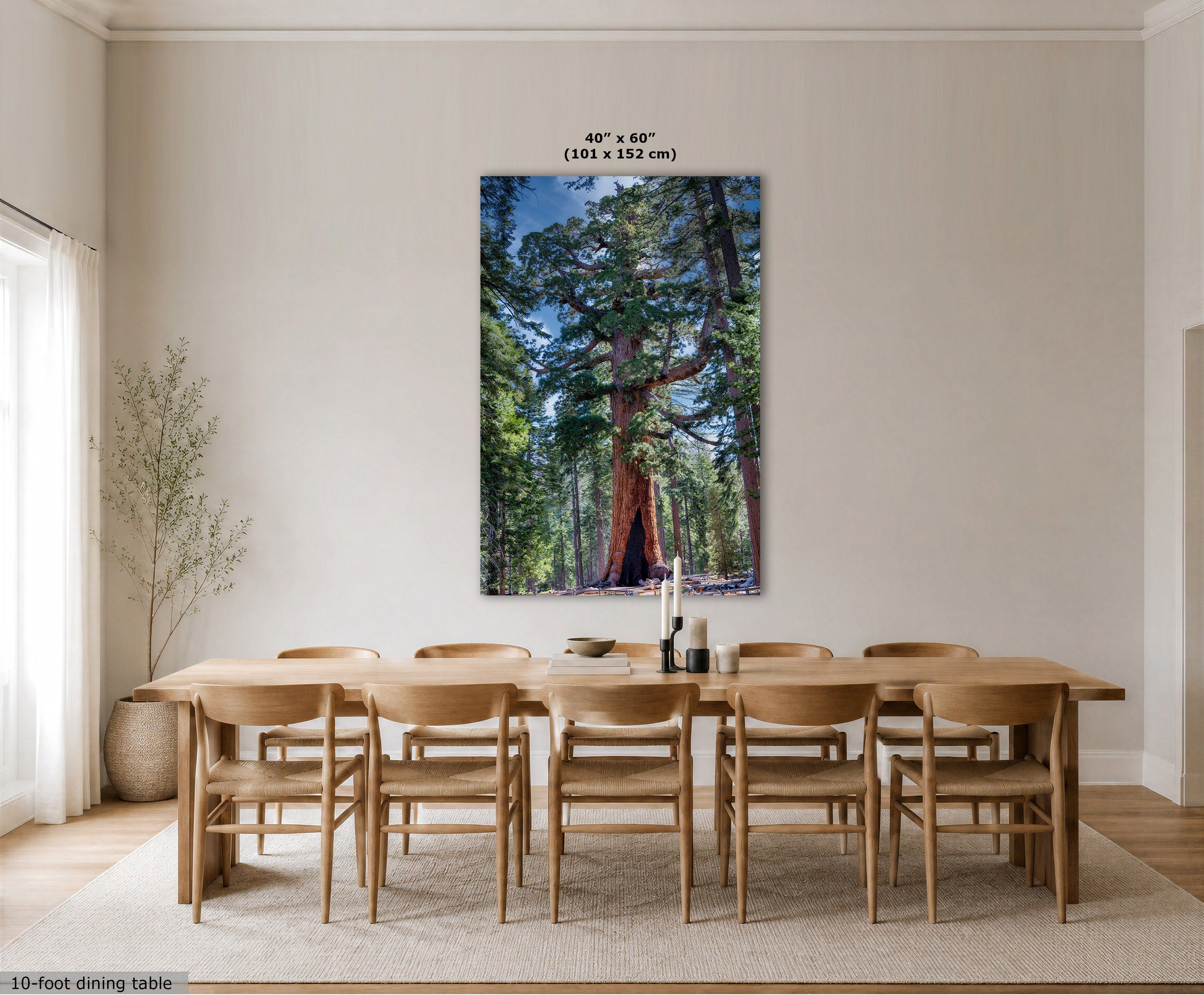 A large vertical wall art print showing a giant redwood forest, displayed in a dining room above a wooden dining table and chairs. The print has a black border and size text at the top indicating 40" x 60" (101 x 152 cm).