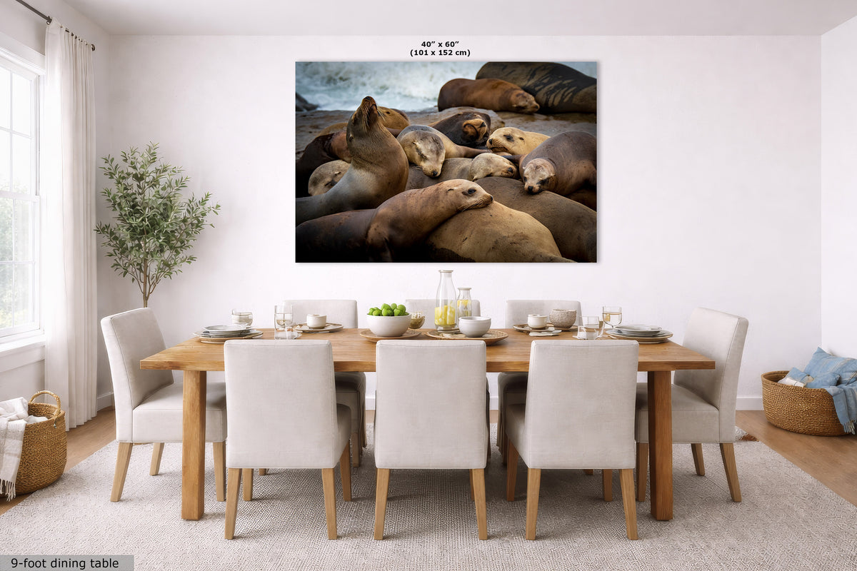 A large wall art print showing a group of sea lions on a beach, displayed in a bright, modern dining room above a wooden dining table with white chairs. The print has a size label at the top indicating 40" x 60" (101 x 152 cm).