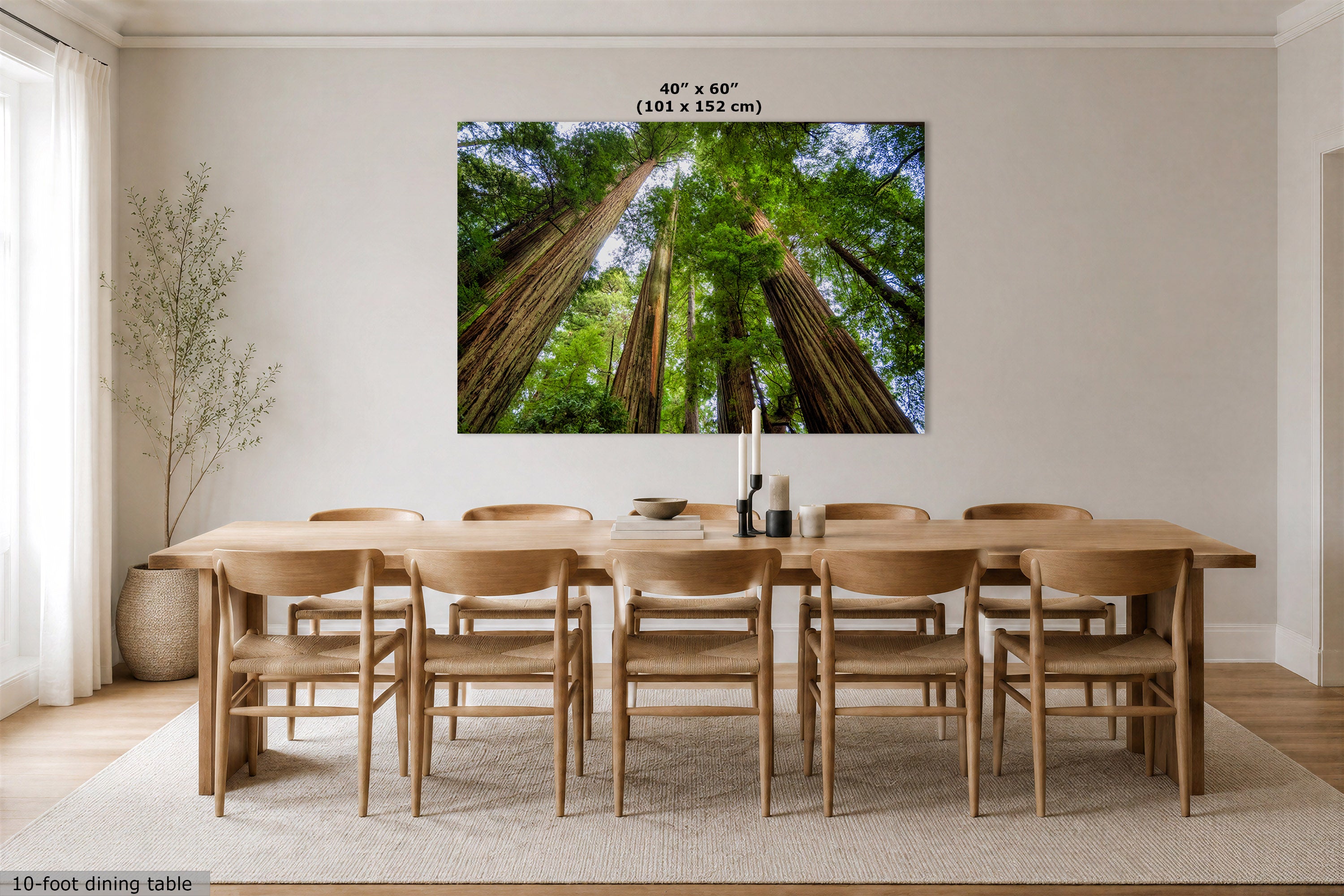 A redwood canopy tree art print showing a low-angle view of giant redwood trees, displayed above a wooden dining table and chairs in a bright, modern dining room. The print includes size text at the top indicating 40" x 60" (101 x 152 cm).