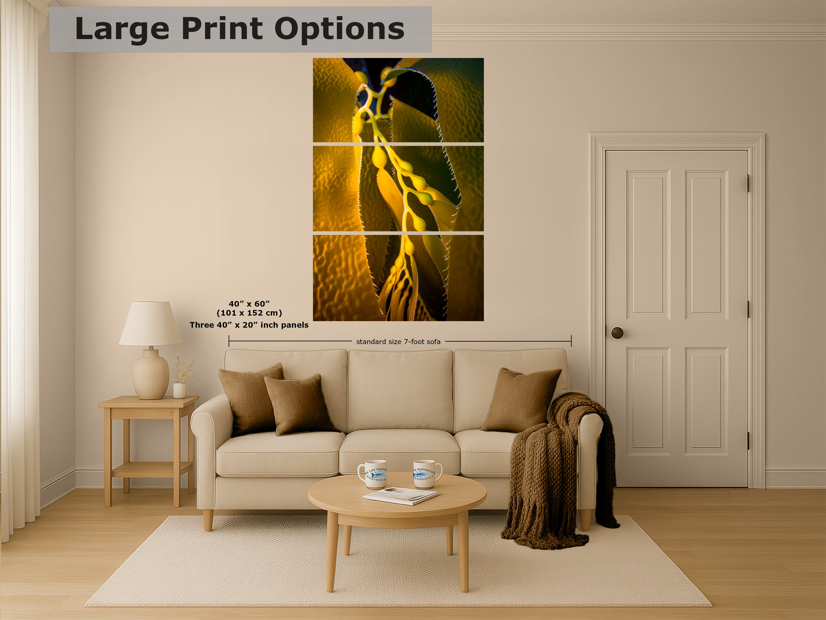 Kelp Forest Seaweed Pictures Underwater Scenery, Ocean Life Marine Life Decor, Nature Photo, Under the Sea Wall Art, Marine Biology Gift