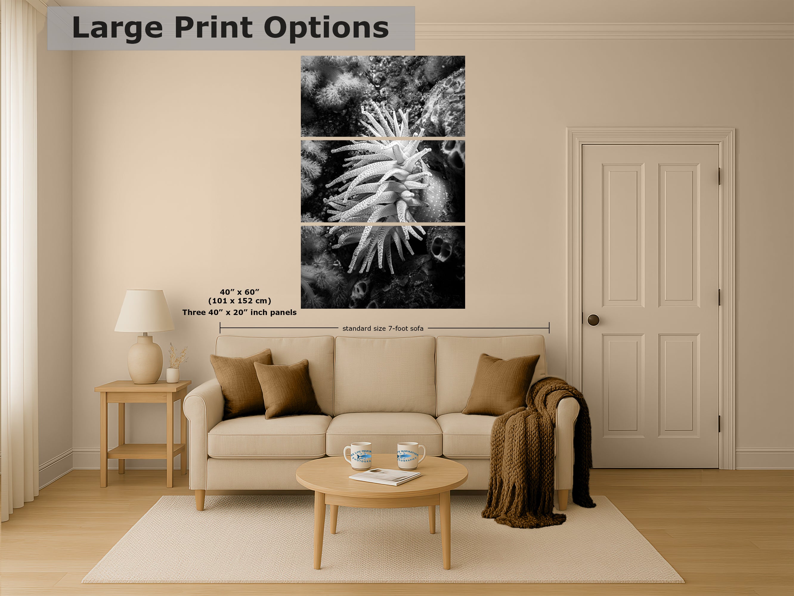 Sea Anemone Picture Ocean Life Underwater Scenery Nature Photo Black and White Art for Marine Biology, Ocean Lovers, and Relaxation Decor