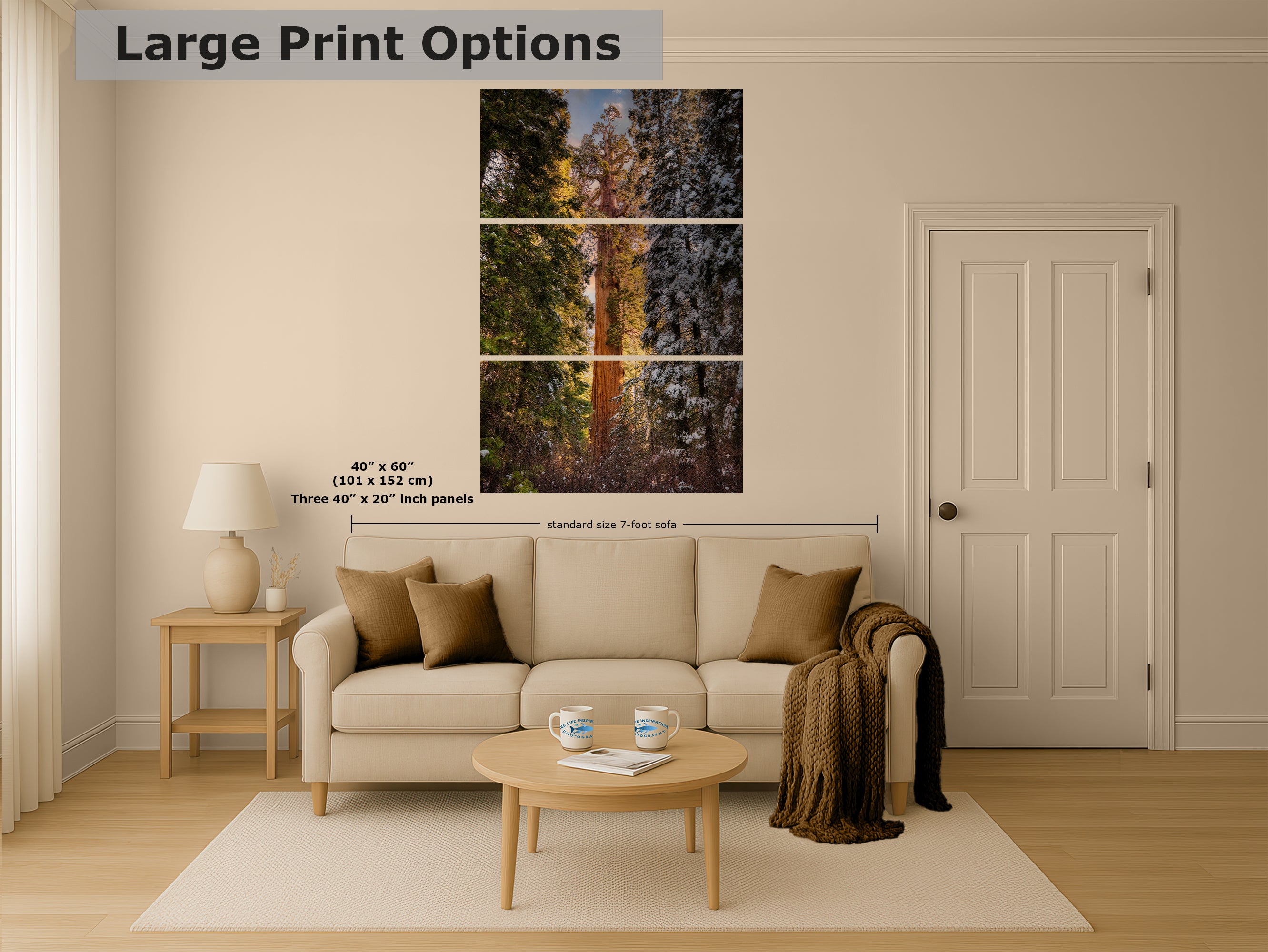 Giant Sequoia Tree Forest Picture Nature Photo, Redwood Tree Wall Art, Forest Bathing Decor, Bohemian Style Relaxation Artwork