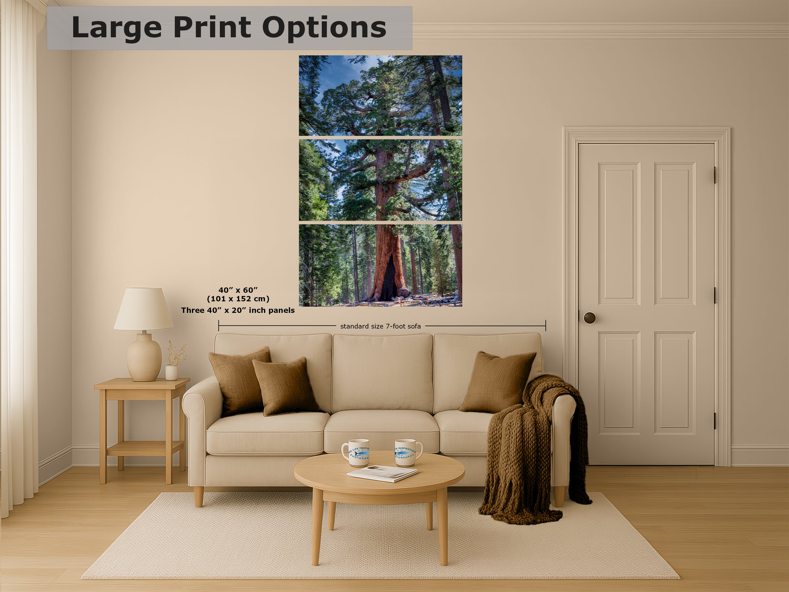 Giant Sequoia Tree Forest Picture Nature Photo, Yosemite Redwood Trees, Mariposa Grove Tree Hugger Decor, Forest Bathing for Relaxation