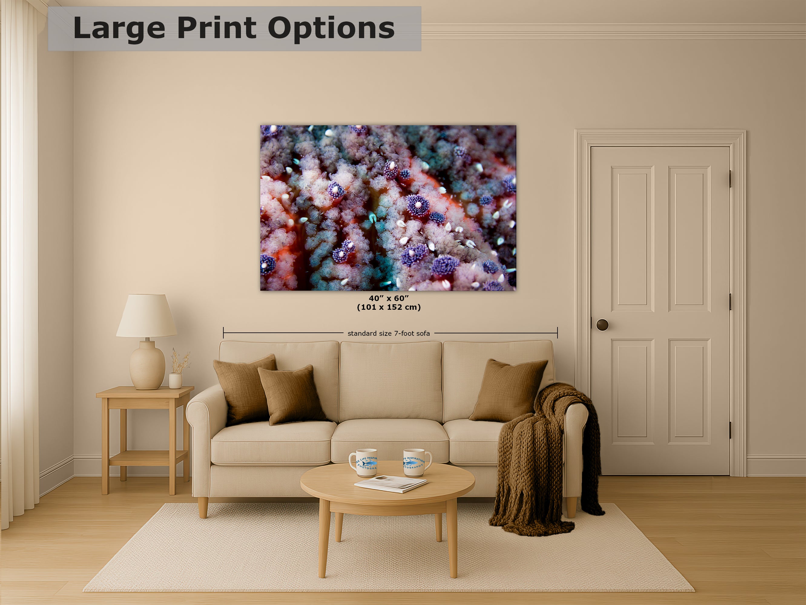 Ocean Life Starfish Photo, Marine Biology Underwater Scenery, Vibrant Coral Reef, Nature Photography for Office Decor, Relaxation Artwork