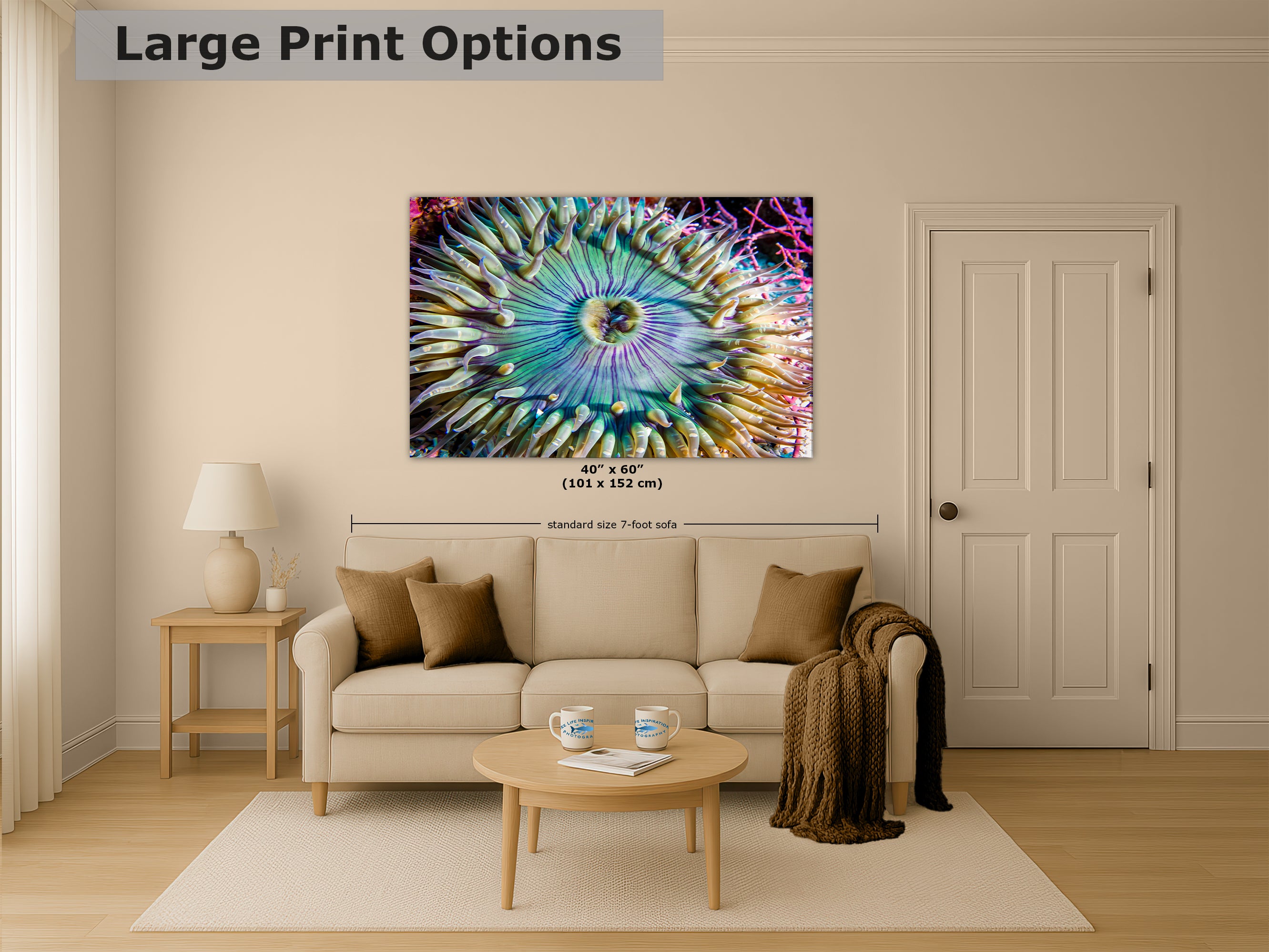 Sea Anemone Picture Ocean Life Underwater Scenery Nature Photo, Marine Biology Coral Reef Art