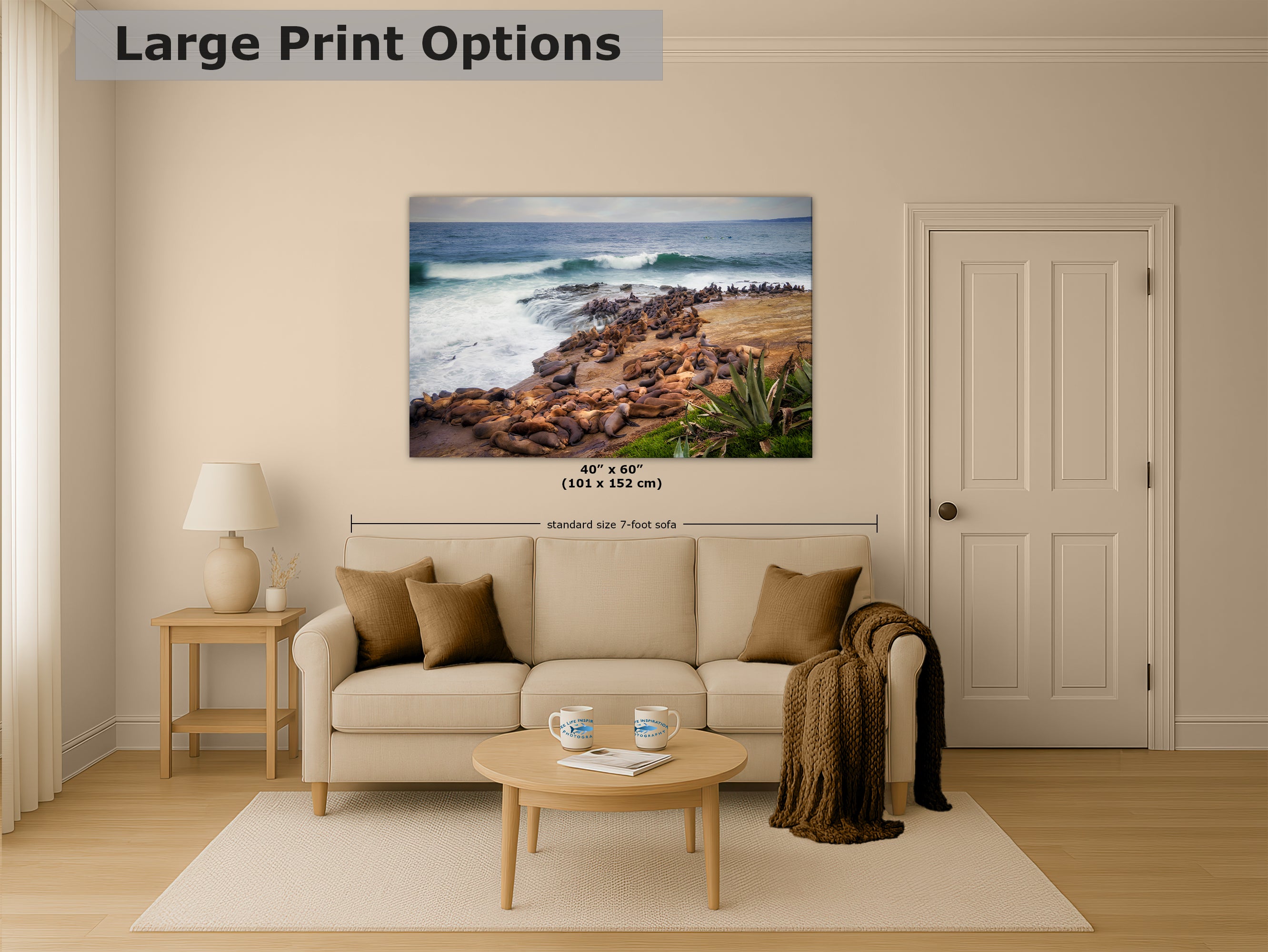 California Sea Lion Marine Mammal Wildlife Photography | Calming Nature Ocean Picture, Relaxation Artwork, La Jolla Coast, Nature Photo