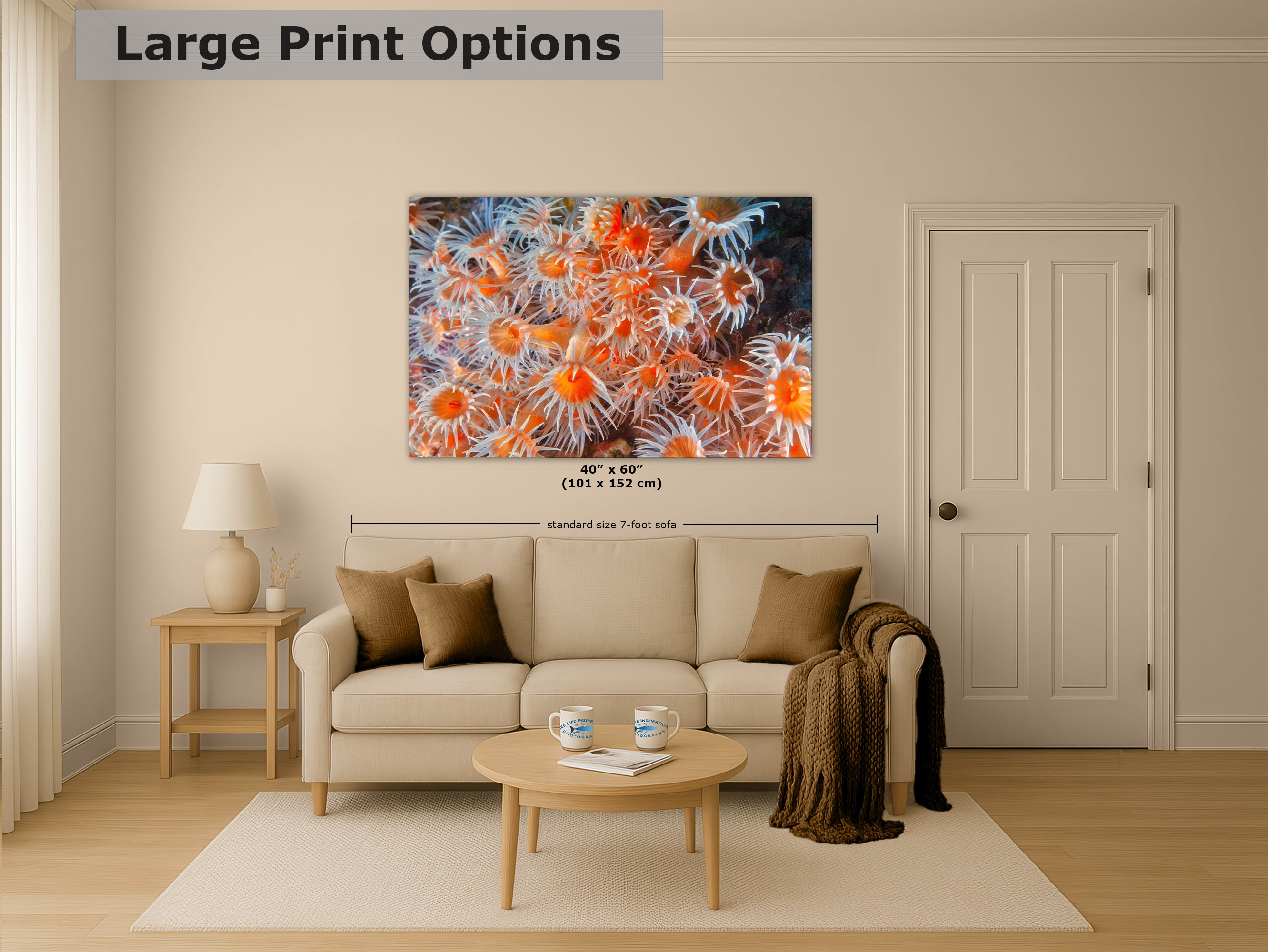 Sea Anemone Picture Ocean Life Underwater Scenery Nature Photo, Vibrant Coral Reef Wall Art, Marine Biology Gift for Ocean Lover