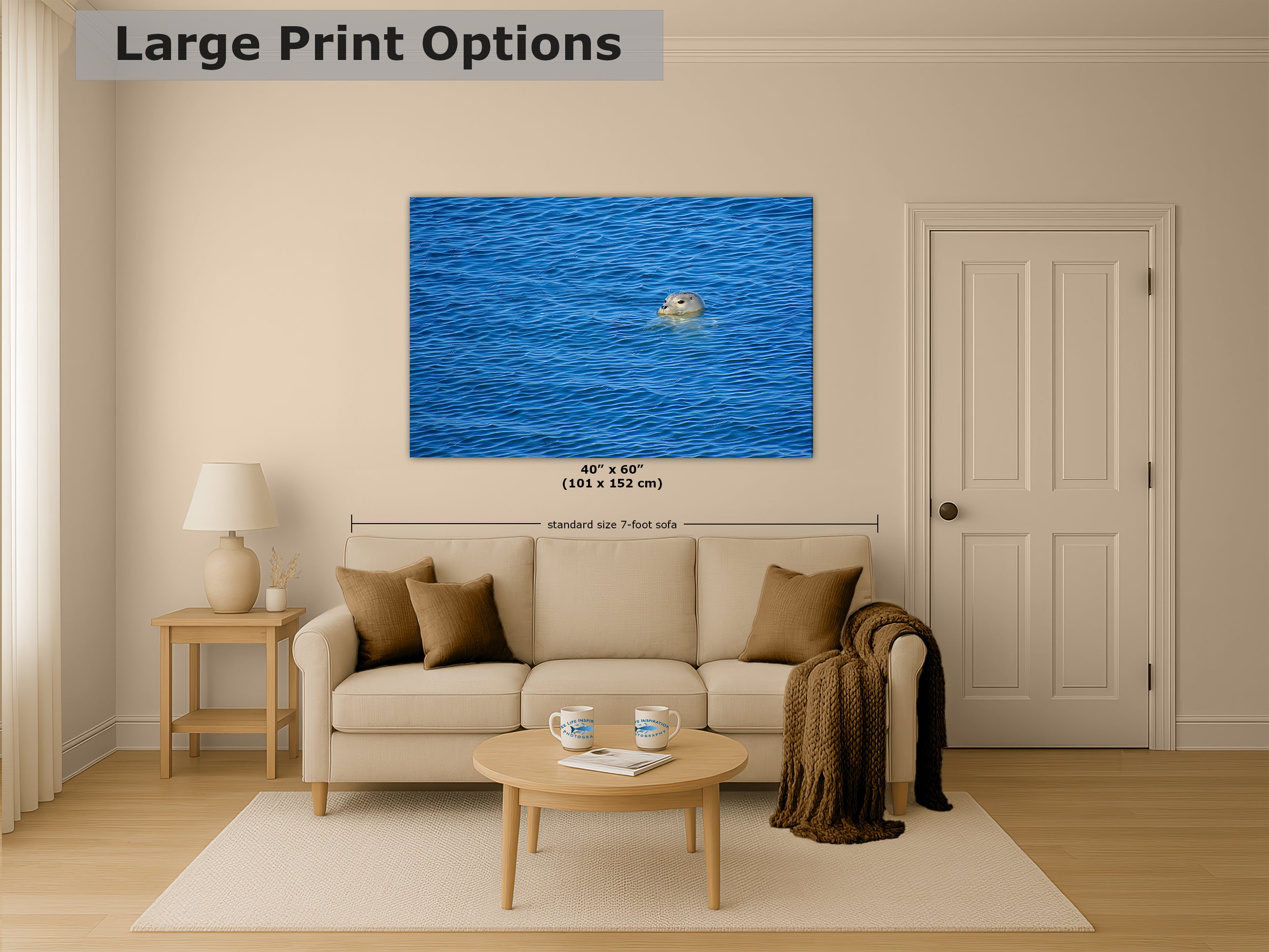 Seal Print Marine Mammal Wildlife Photography, Ocean Picture Relaxation Artwork Nature Photo