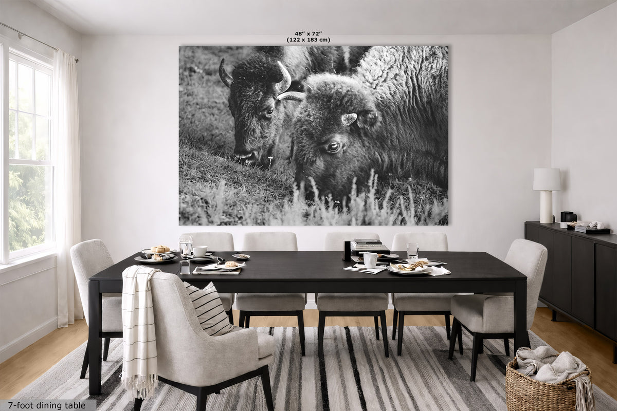 A large black and white wall art print depicting two bison in a grassy field, displayed above a dining table in a modern dining room setting.