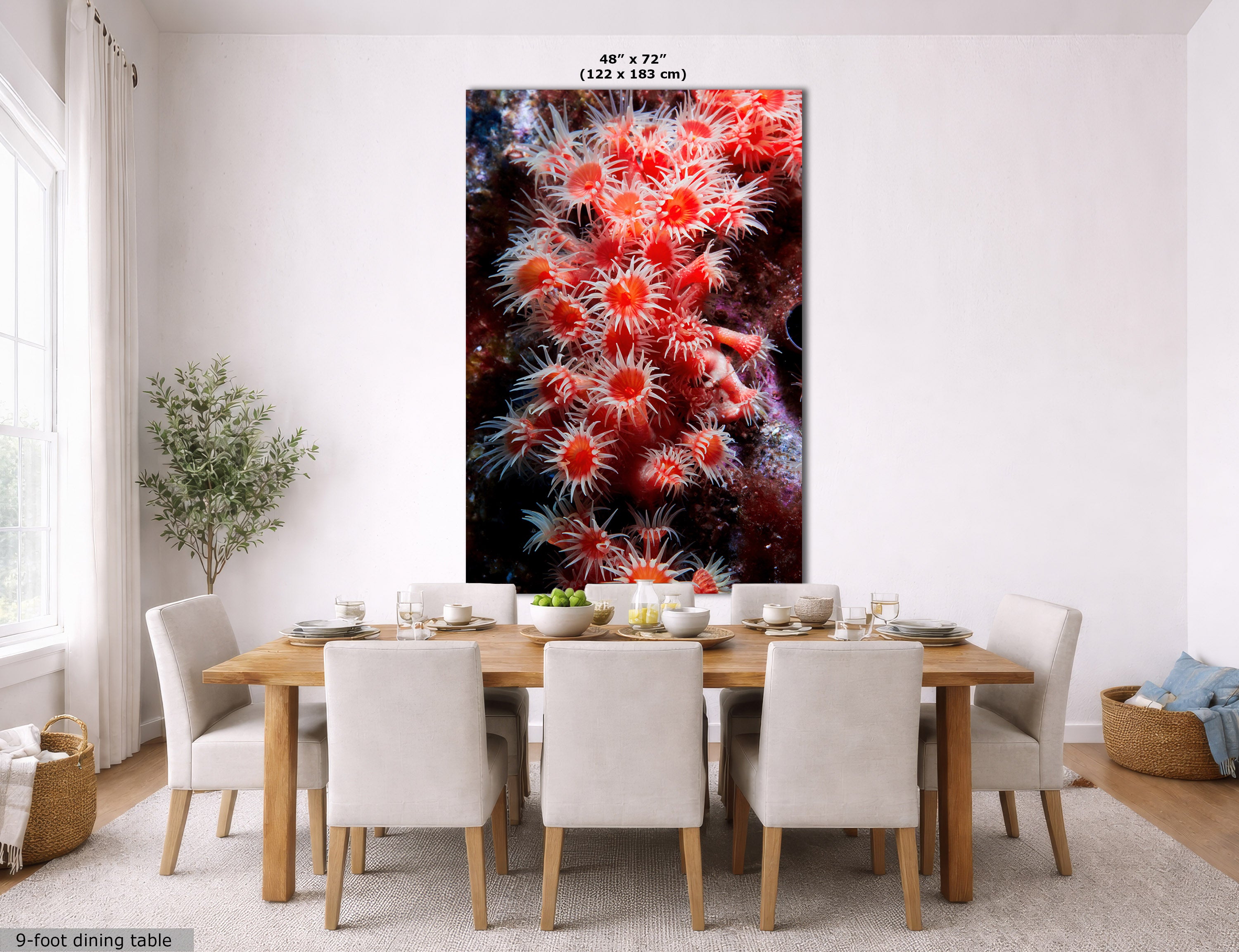 A large vertical wall art print showing a close-up of bright red and orange sea anemones on a dark background, displayed above a dining table in a modern dining room. The print includes size text at the top and a small label at the bottom left.