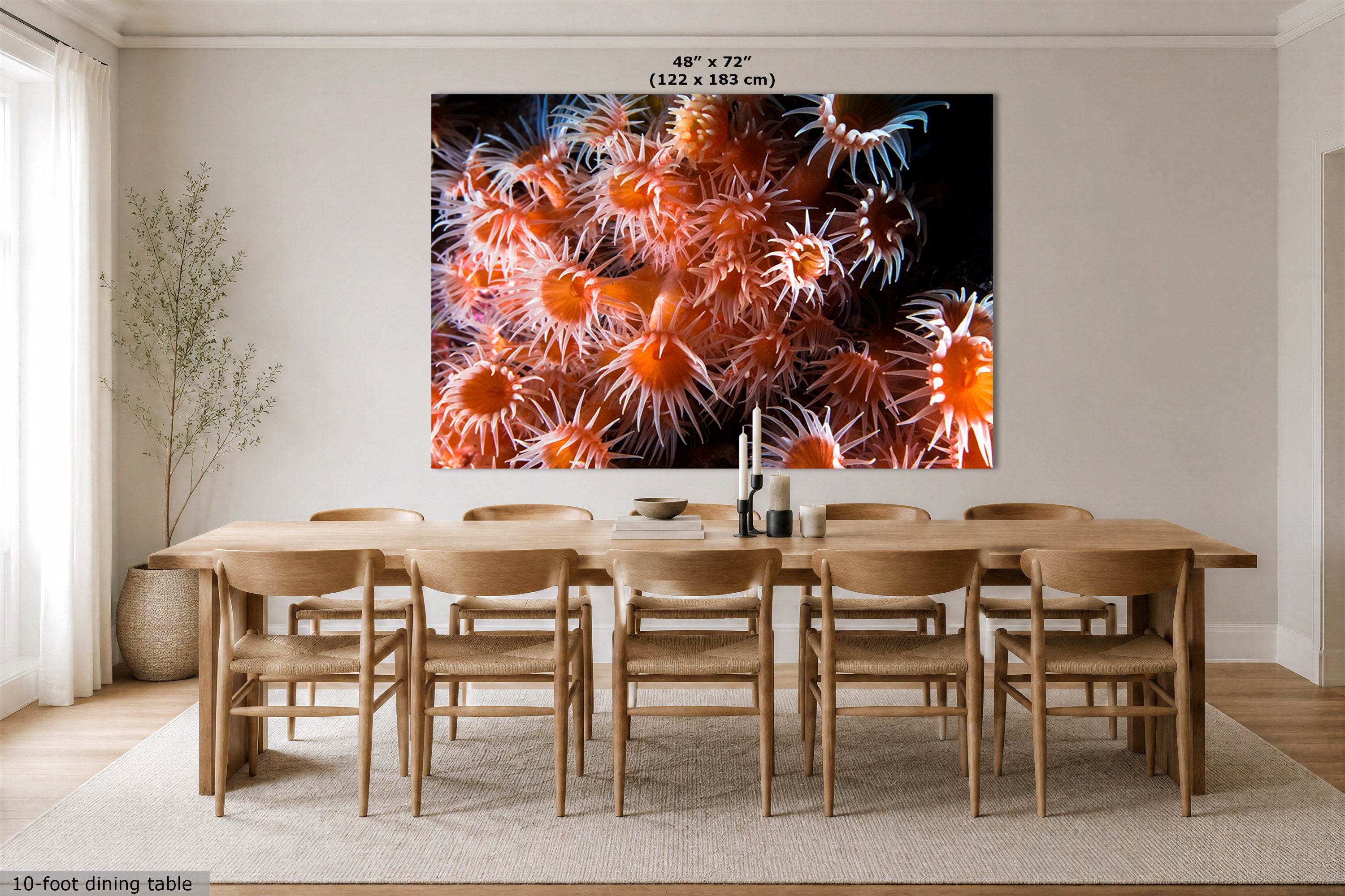 A large wall art print showing a close-up of orange sea anemones on a black background, displayed above a wooden dining table and chairs in a modern dining room. The print includes size text at the top and a small label at the bottom left.