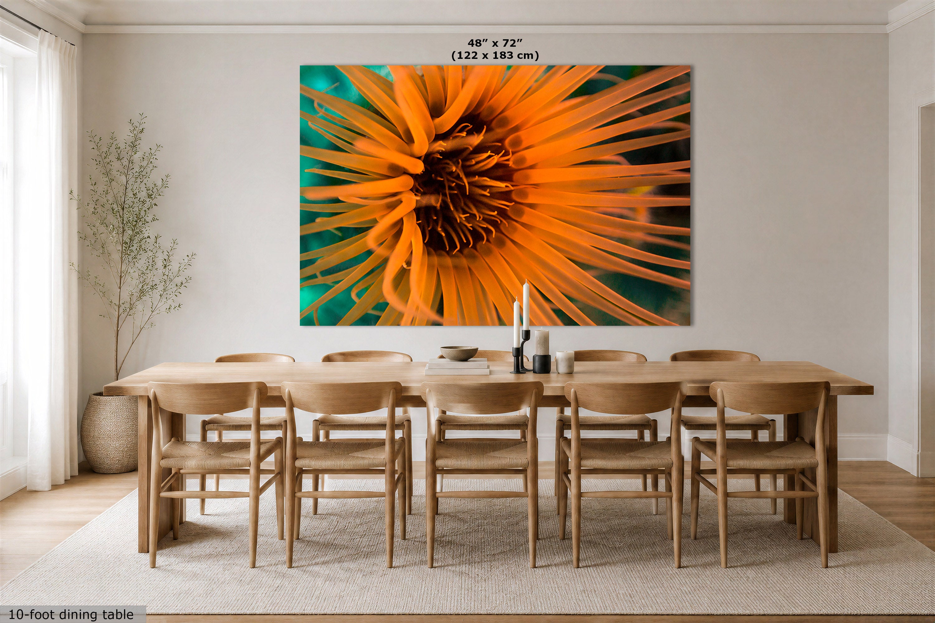 A large wall art print showing a close-up of an anemone on a teal background, displayed above a wooden dining table and chairs in a bright dining room. Text at the top reads 48" x 72" (122 x 183 cm), and a small note at the bottom left says 10-foot dining table.