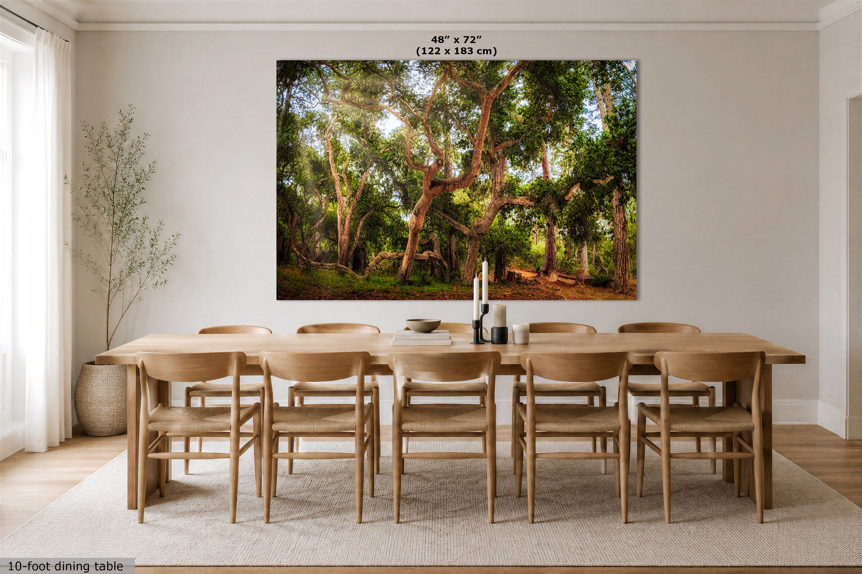 A coast live oak forest print depicting a sunlit forest with dense green trees and a dirt path, displayed above a wooden dining table and chairs in a bright dining room. Text at the top reads 48" x 72" (122 x 183 cm), and text at the bottom left says 10-foot dining table.