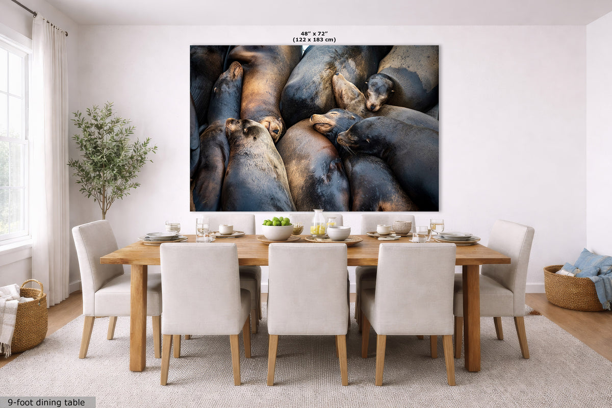 A large wall art print showing a close-up photograph of sea lions, displayed above a dining table in a bright modern dining room. The print includes size text at the top reading 48" x 72" (122 x 183 cm).