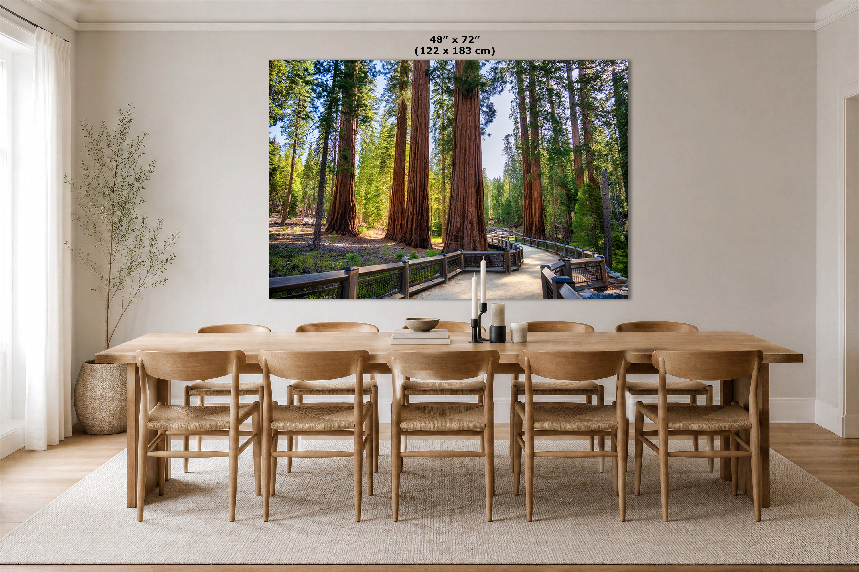 A large wall art print depicting a forest of giant redwood trees is displayed in a dining room above a wooden dining table and chairs. The print includes a size label at the top indicating 48" x 72" (122 x 183 cm).