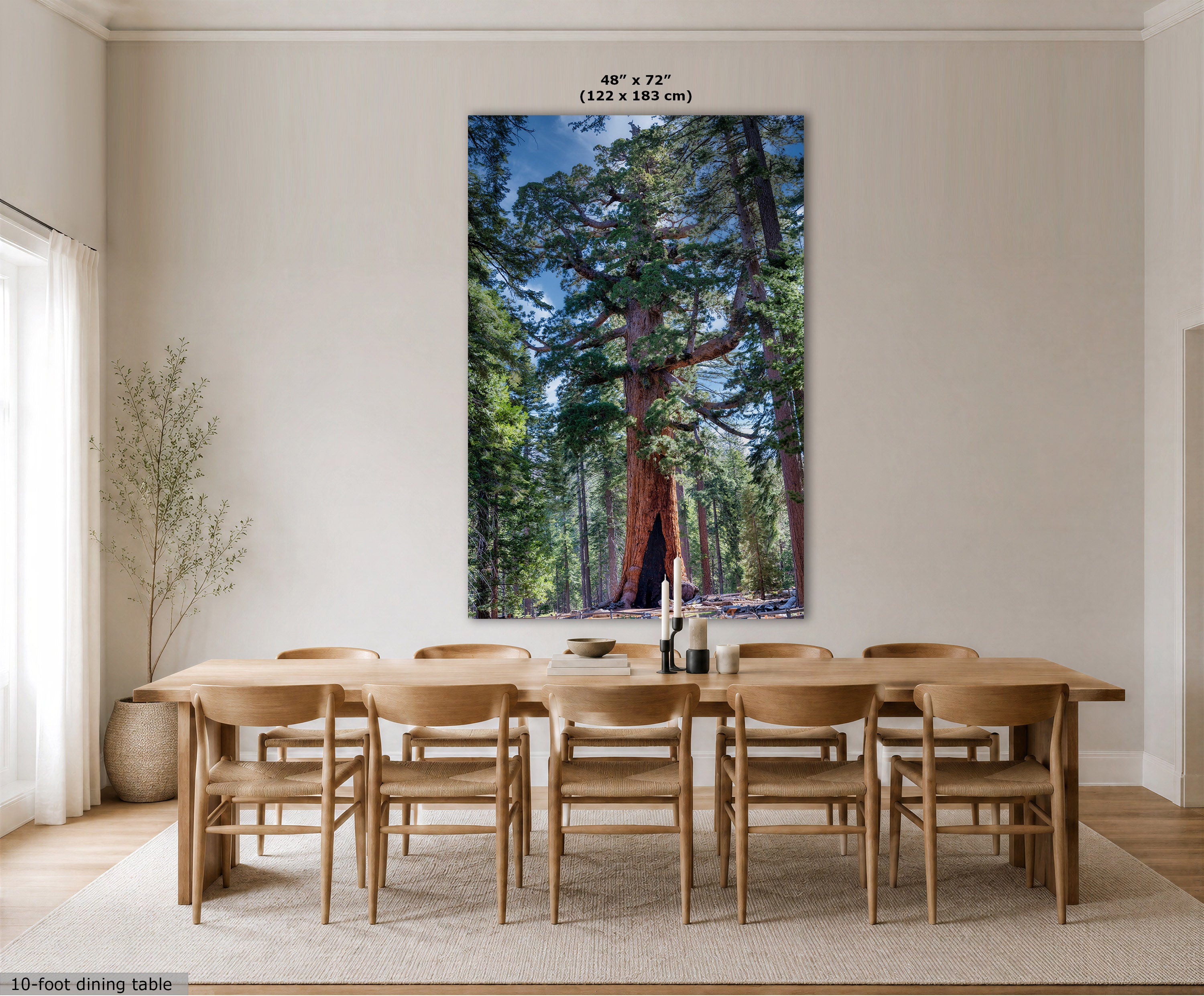 A large vertical wall art print showing a giant redwood tree in a forest, displayed above a light wood dining table and chairs in a bright, modern dining room. The print has a dimension label at the top reading 48" x 72" (122 x 183 cm).