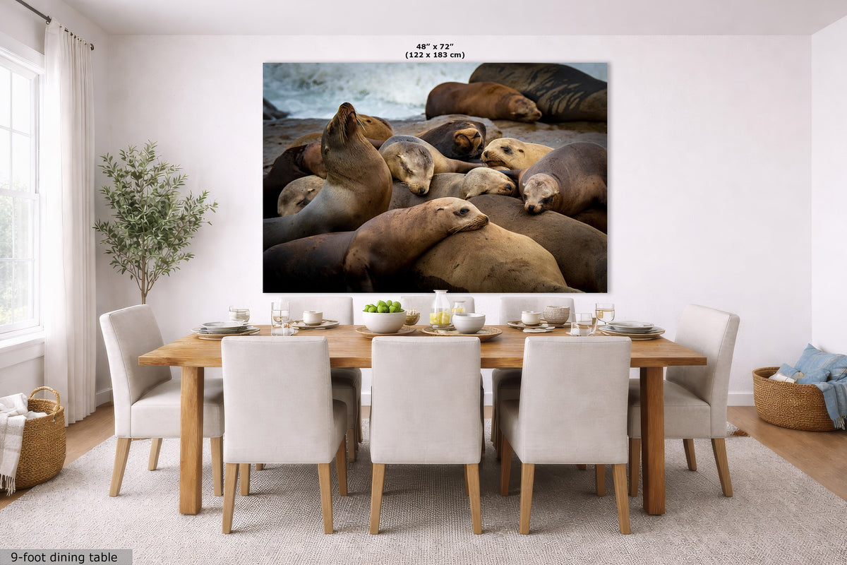A large wall art print showing a group of sea lions on a beach, displayed above a dining table in a bright, modern dining room. The print has a 48" x 72" size label at the top and a 9-foot dining table label at the bottom left.