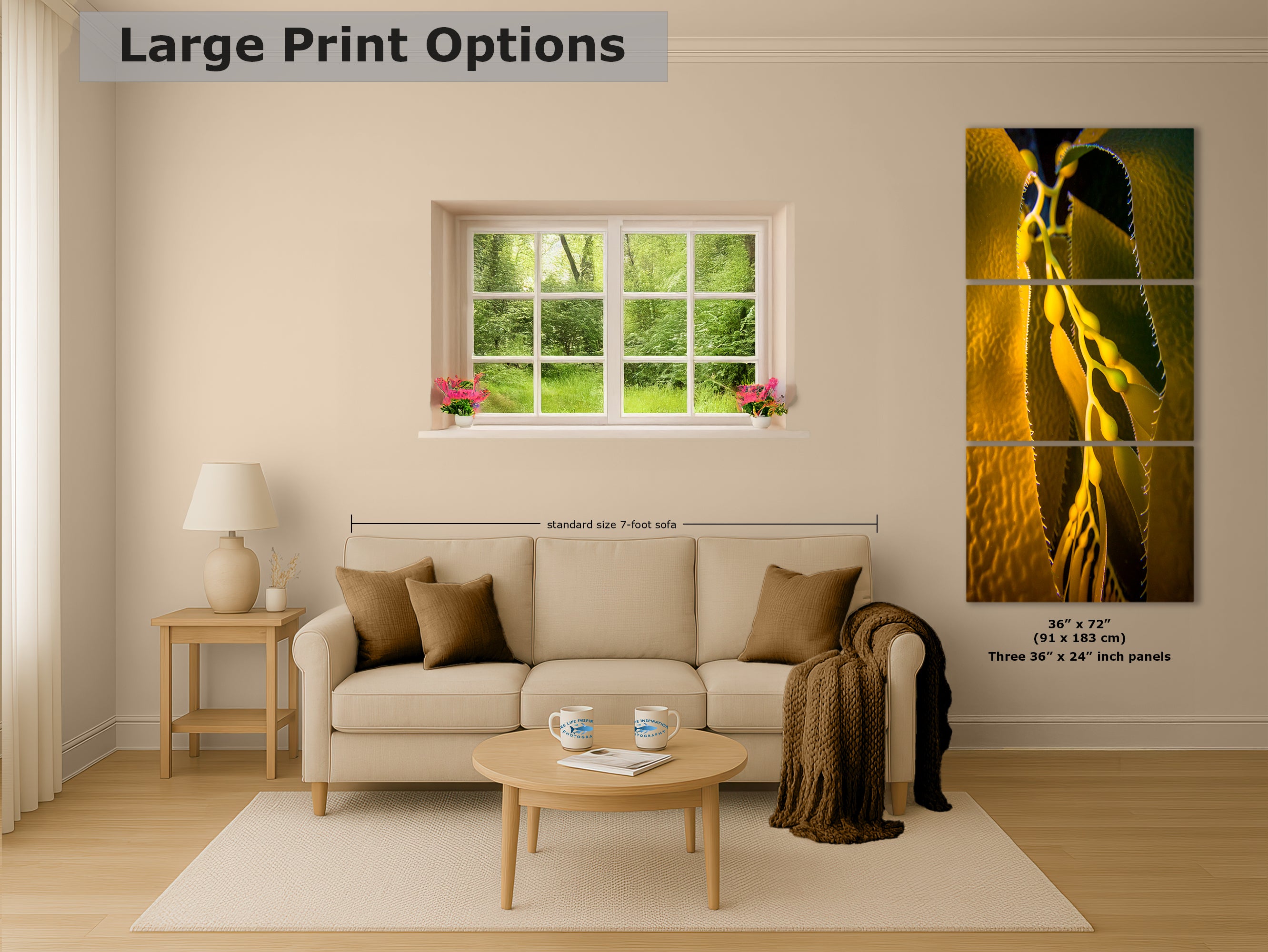 Kelp Forest Seaweed Pictures Underwater Scenery, Ocean Life Marine Life Decor, Nature Photo, Under the Sea Wall Art, Marine Biology Gift