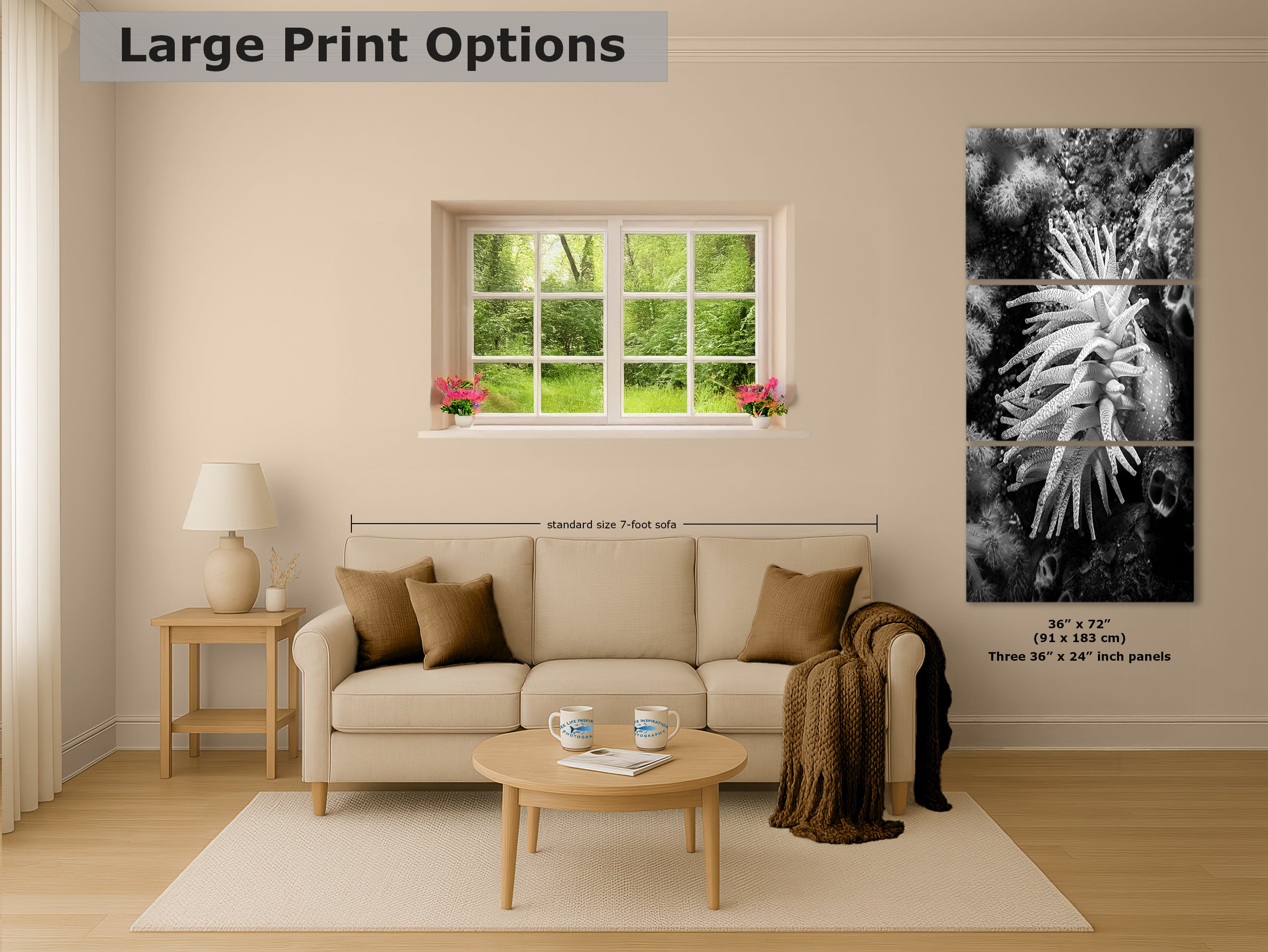 Sea Anemone Picture Ocean Life Underwater Scenery Nature Photo Black and White Art for Marine Biology, Ocean Lovers, and Relaxation Decor