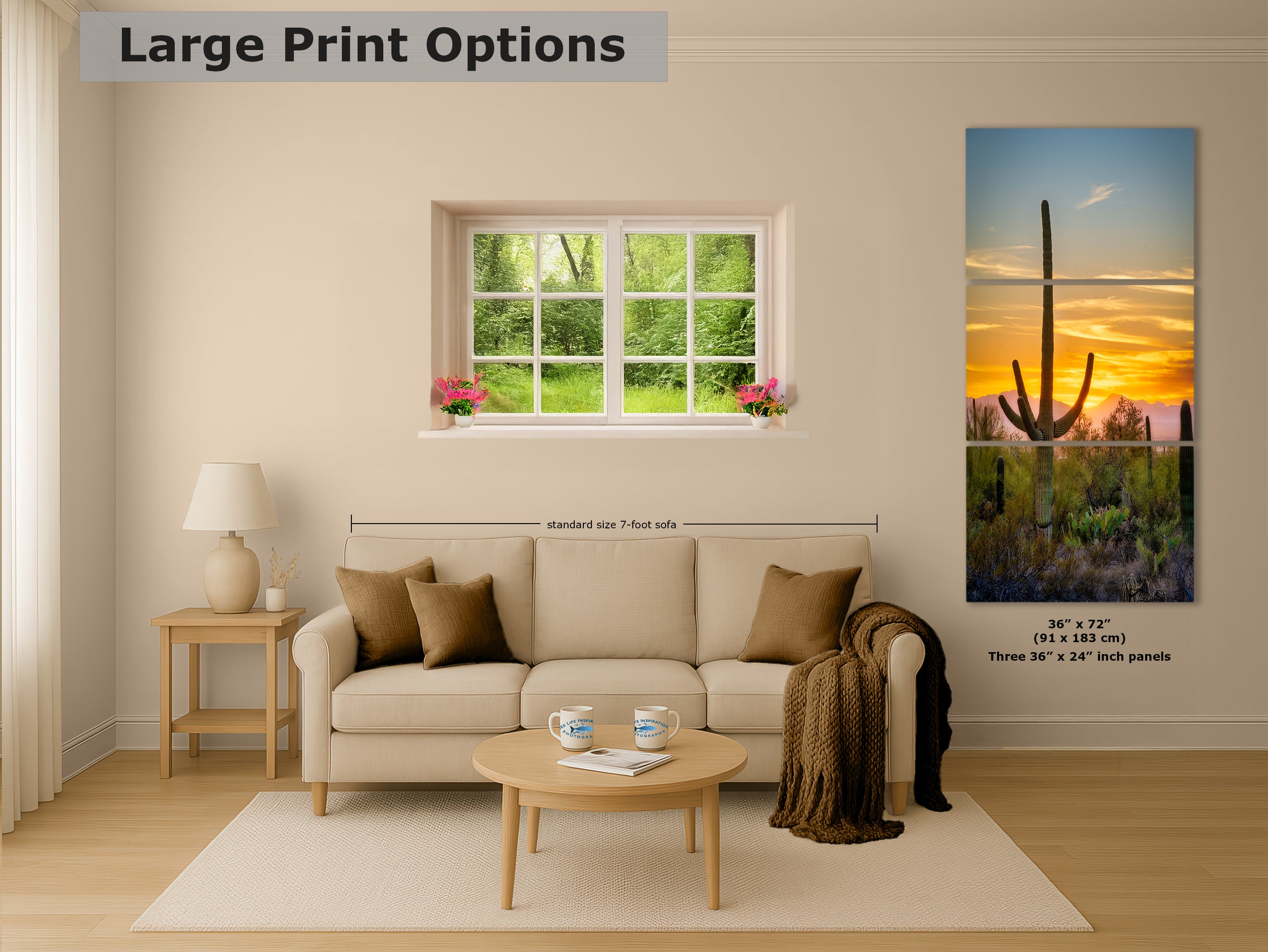 Saguaro National Park Arizona Desert Picture Nature Photo, Bohemian Style Relaxation Artwork, Southwestern Sonoran Desert House Decor