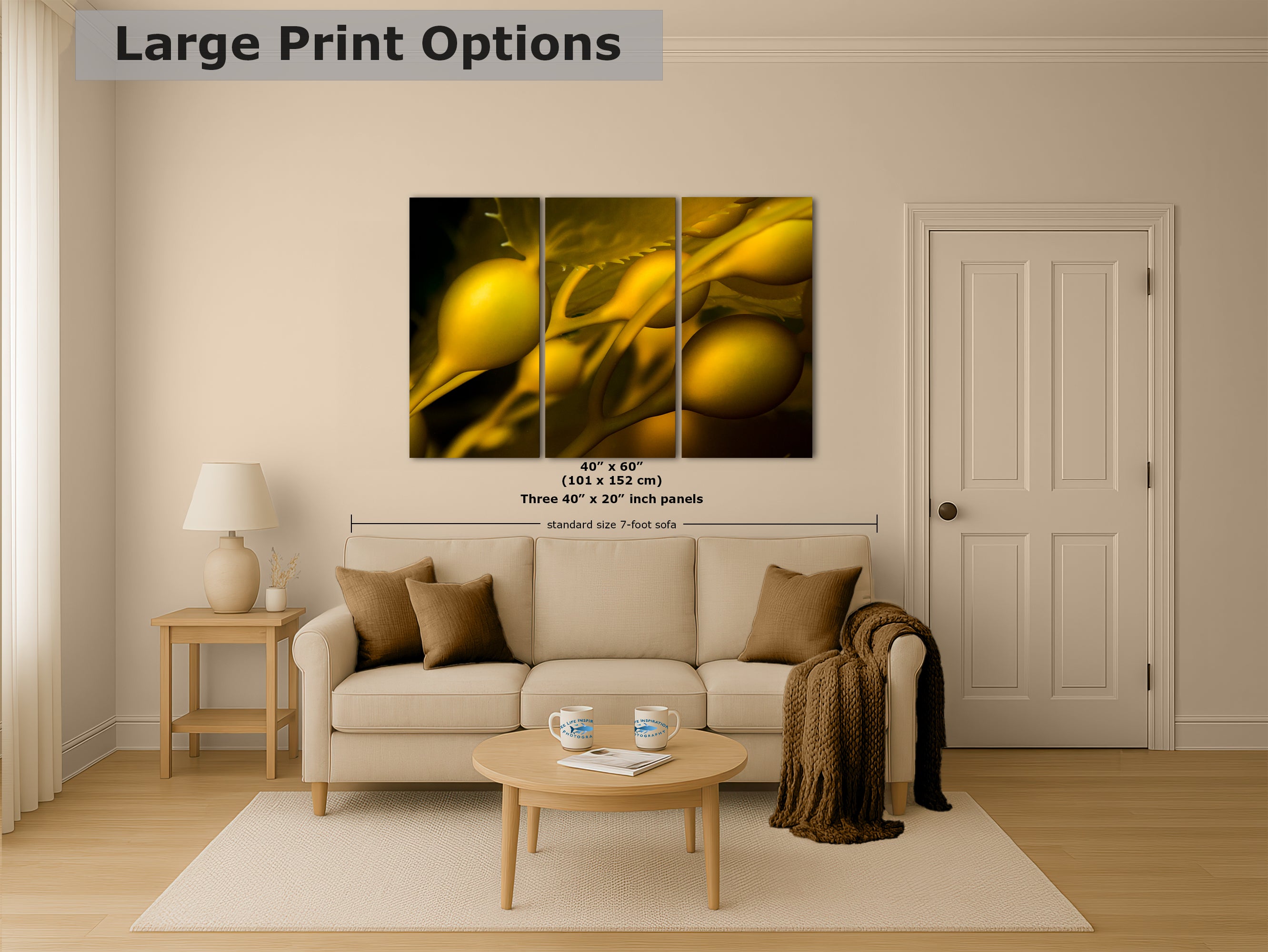 Kelp Forest Seaweed Pictures Underwater Scenery, Ocean Life Marine Biology Nature Photo Relaxation Artwork Decor for Office Dorm Room Decor